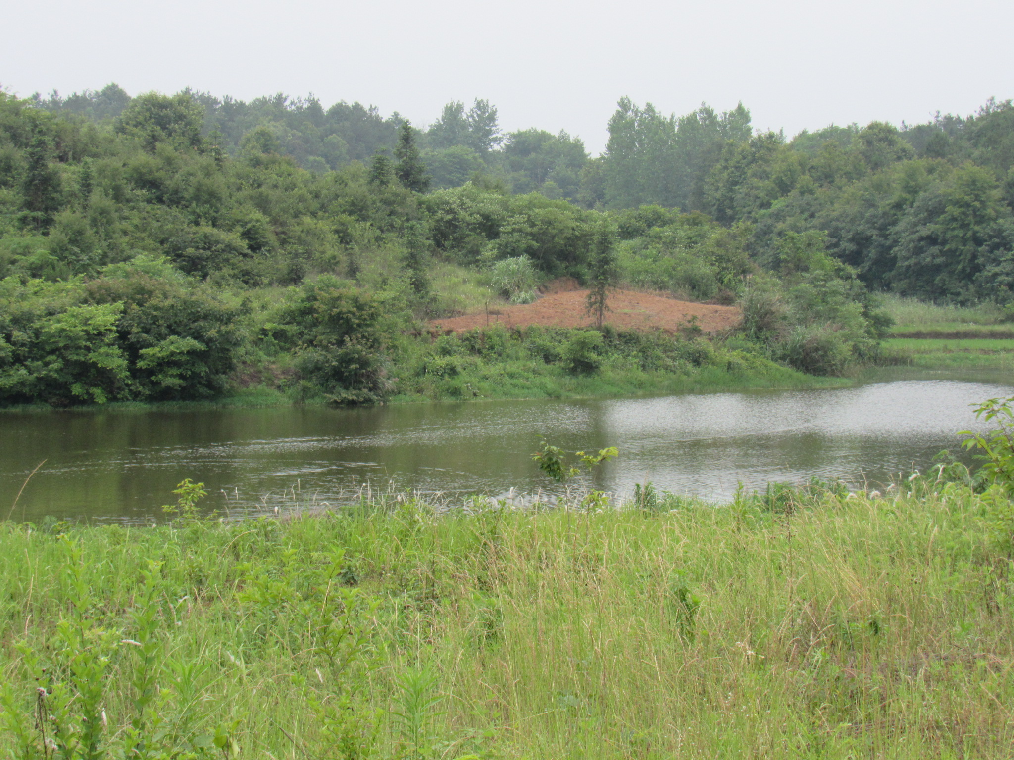 高苗冲水库