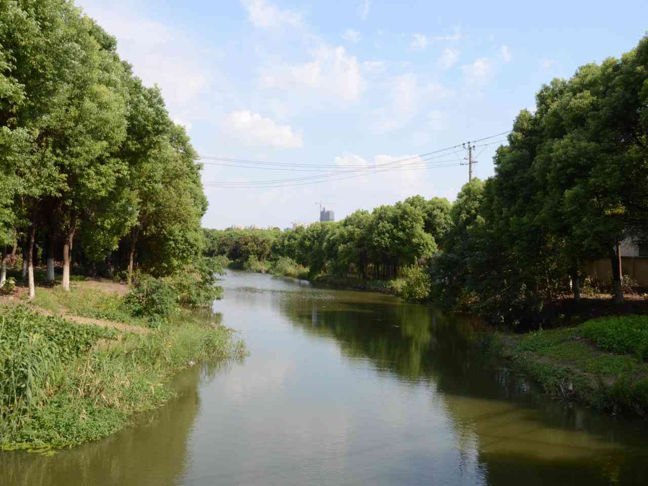 东横塘河