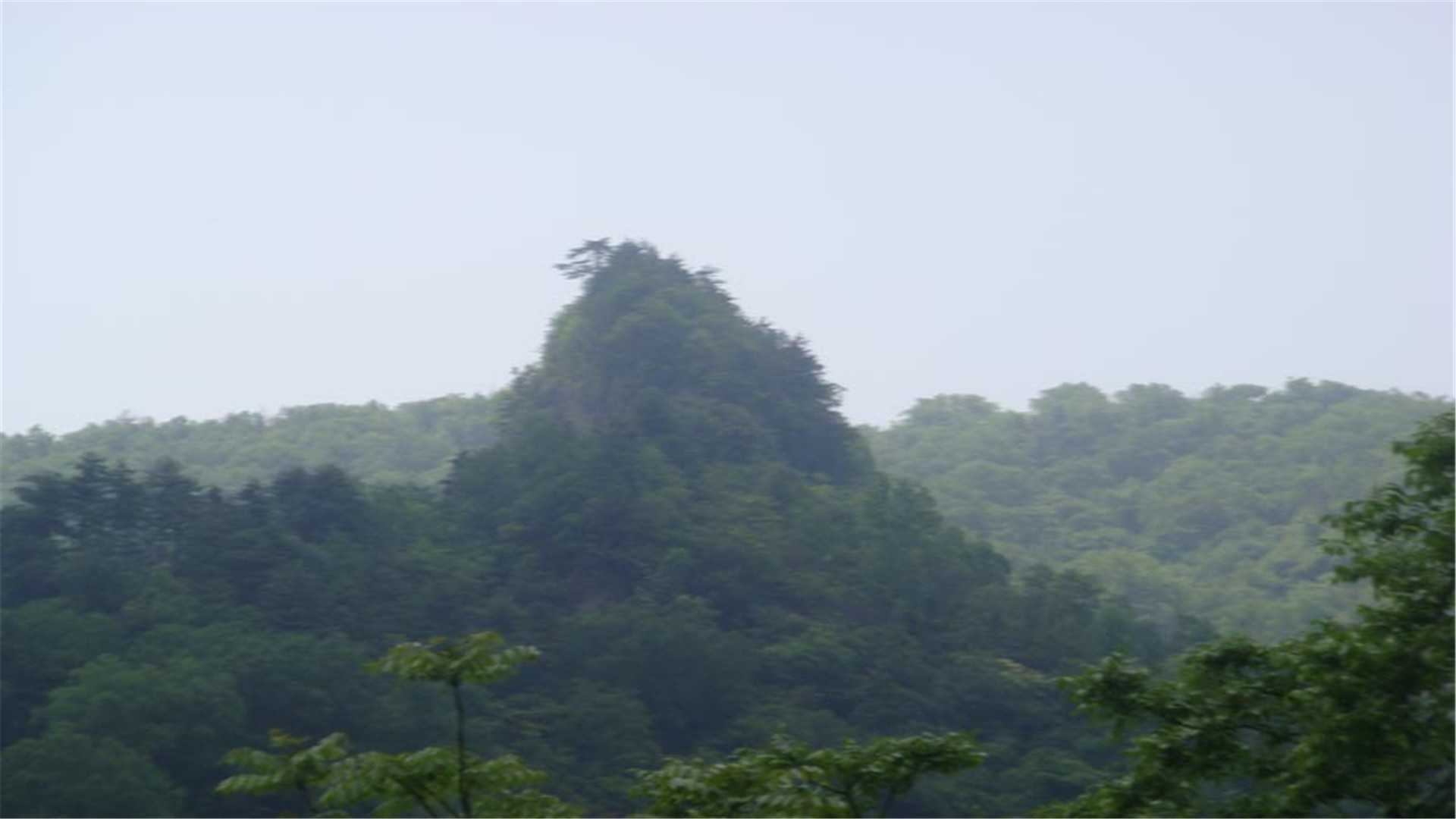 小陇山国家级自然保护区