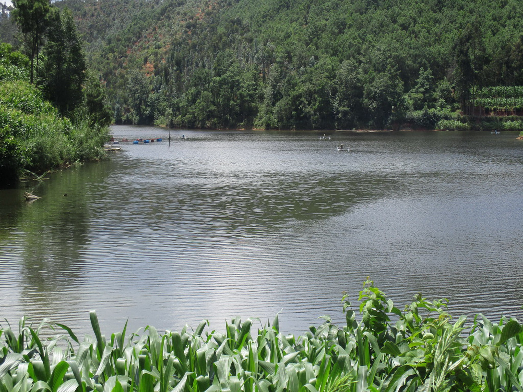 冷水塘水库