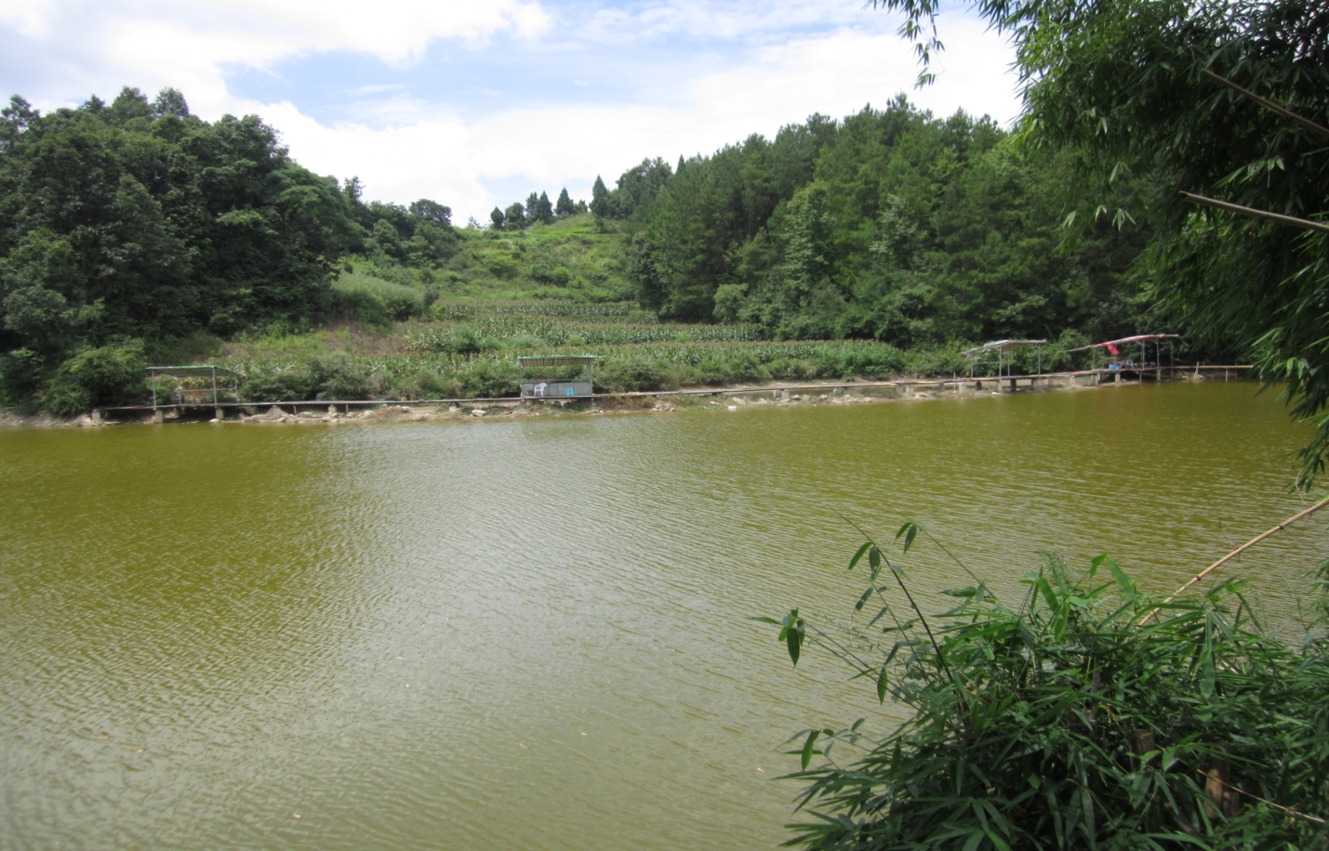 禹门村杨河堰水库