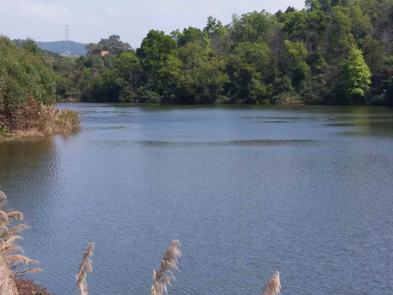 黎木坑水库