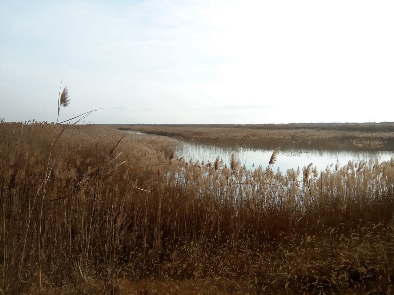 麻郭水库