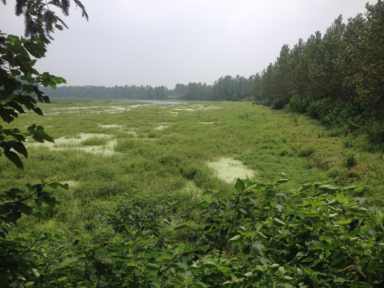 下庄河滩