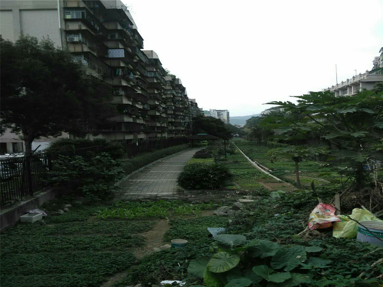 高涧河社区公园