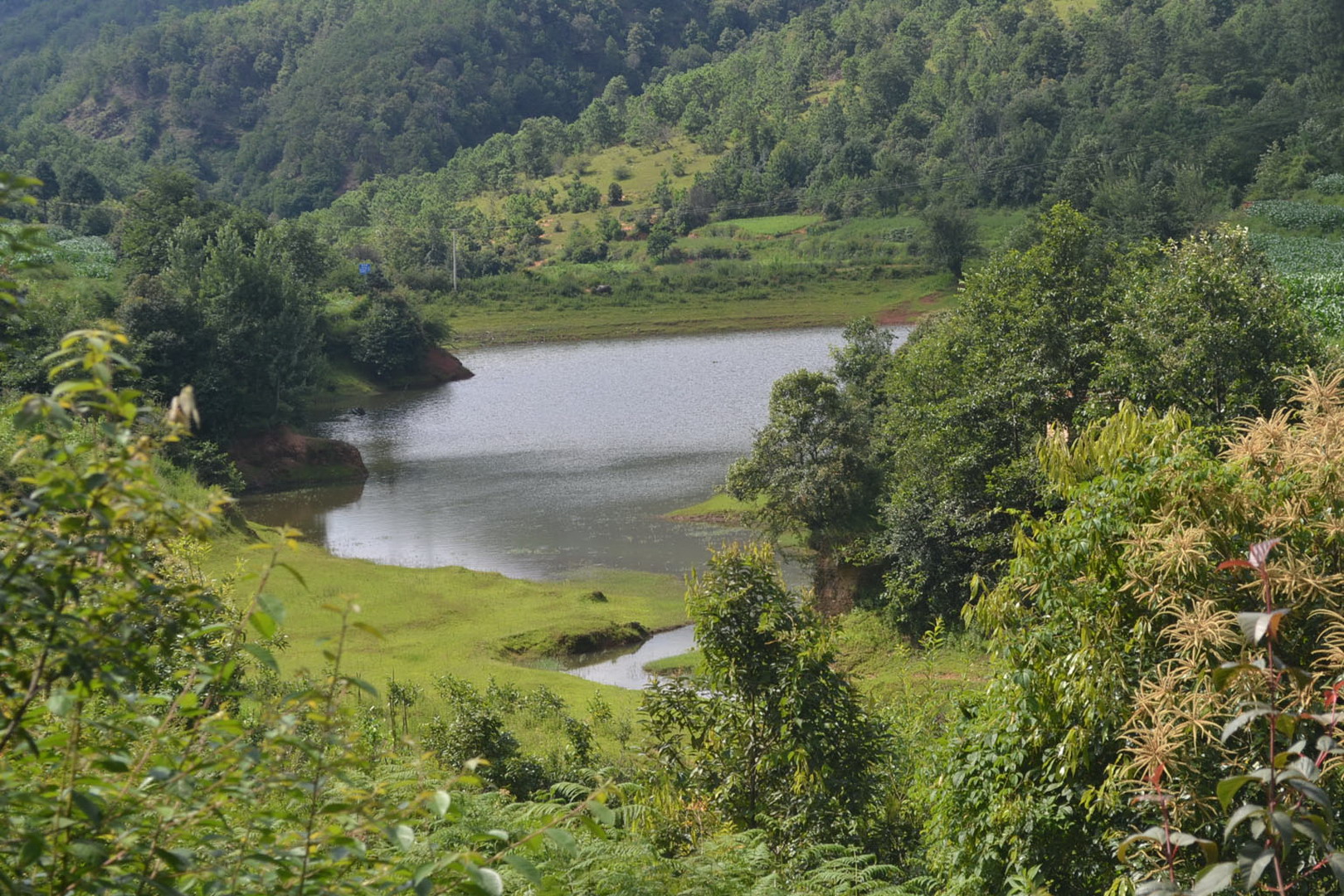 很厂母水库