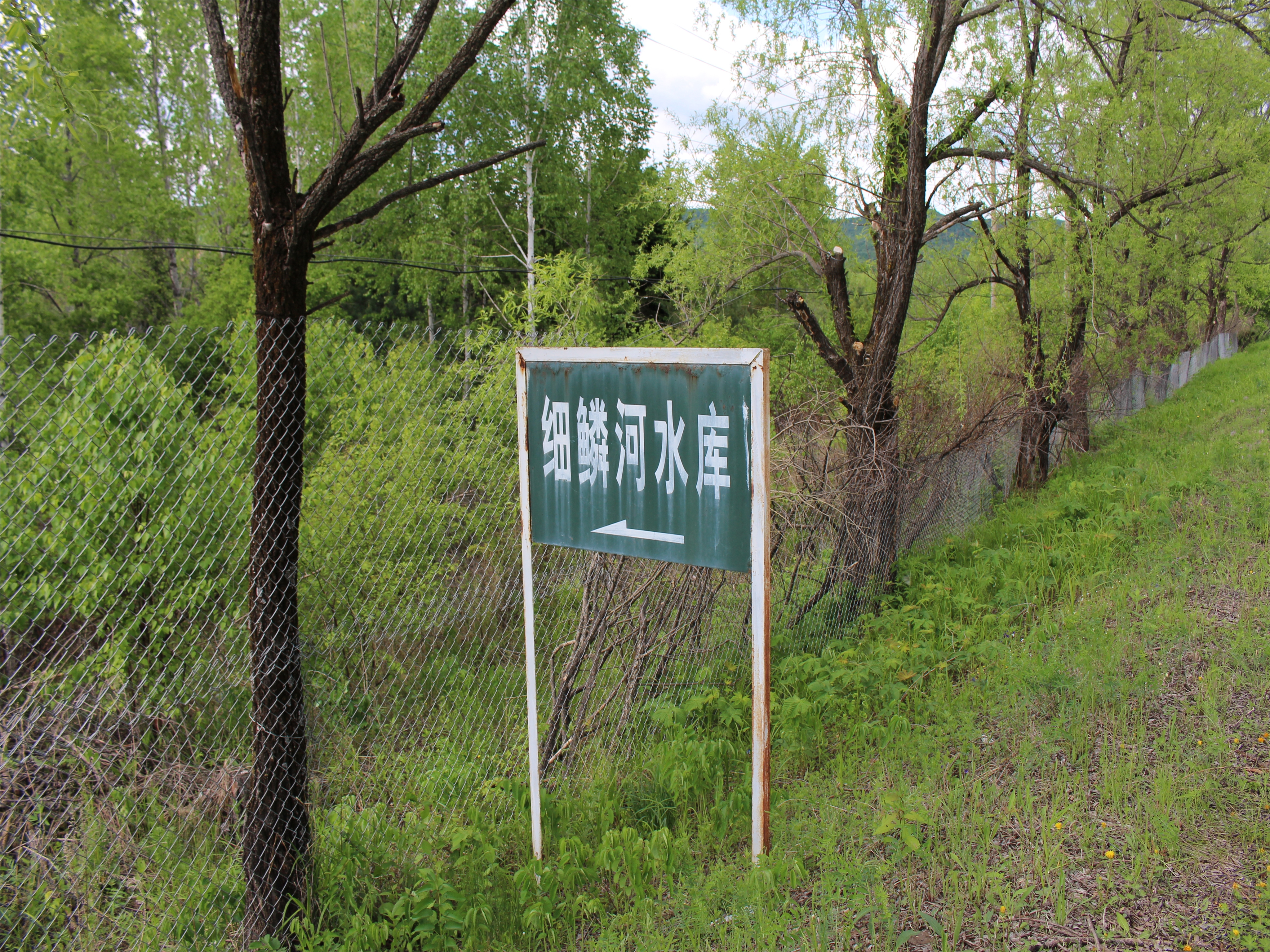 细鳞河水库