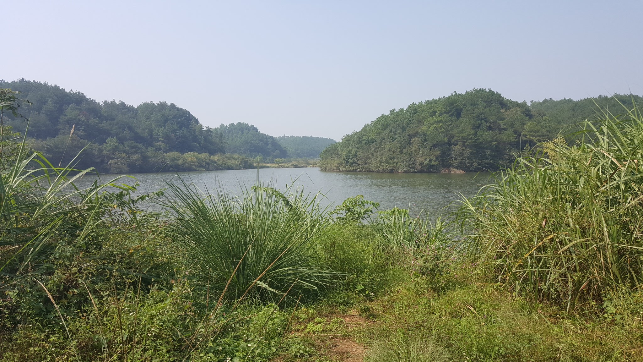 布袋坵水库