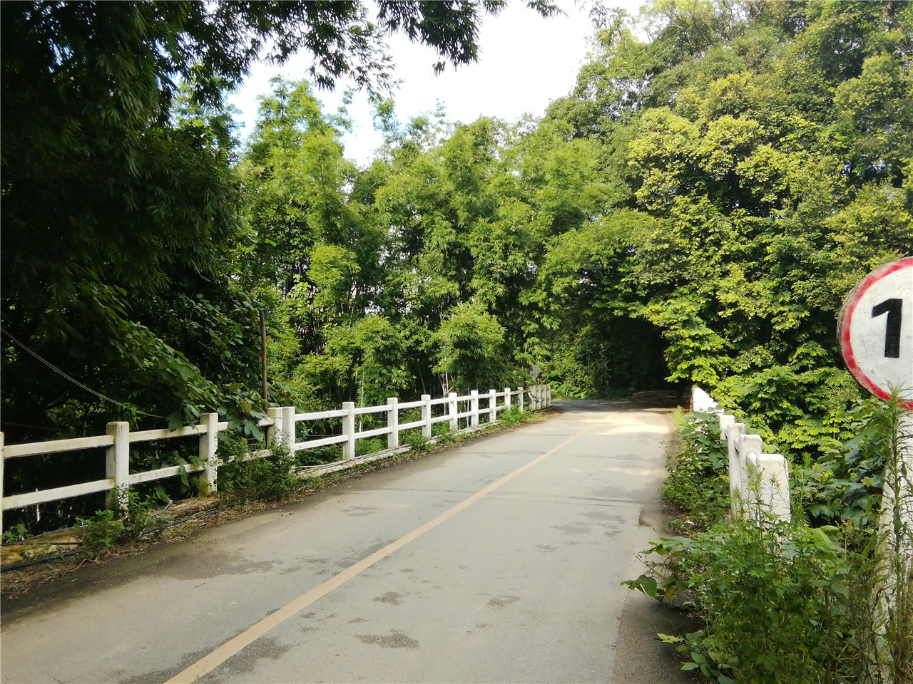 渌林沟
