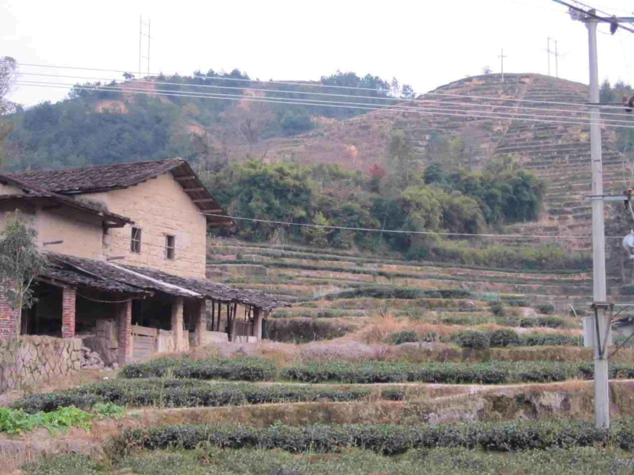 陈厝垵泉