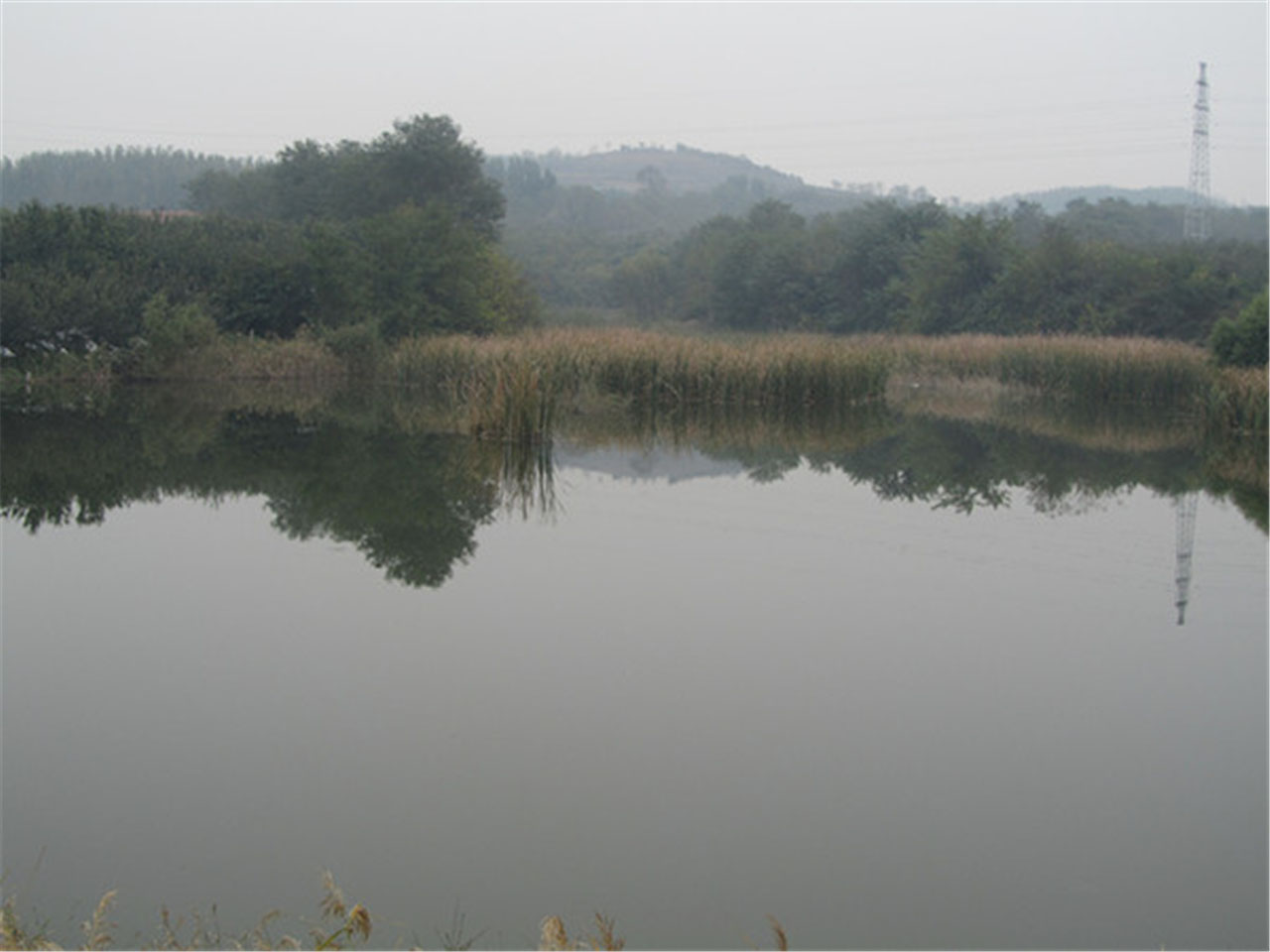 木基迟家村水库