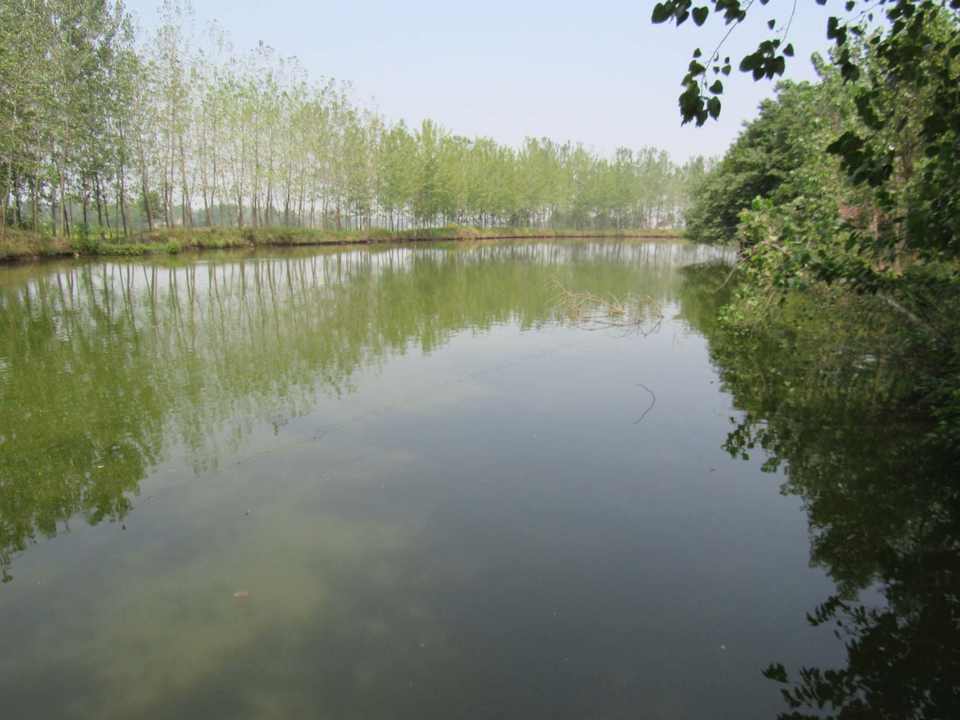 夏店幸福水库