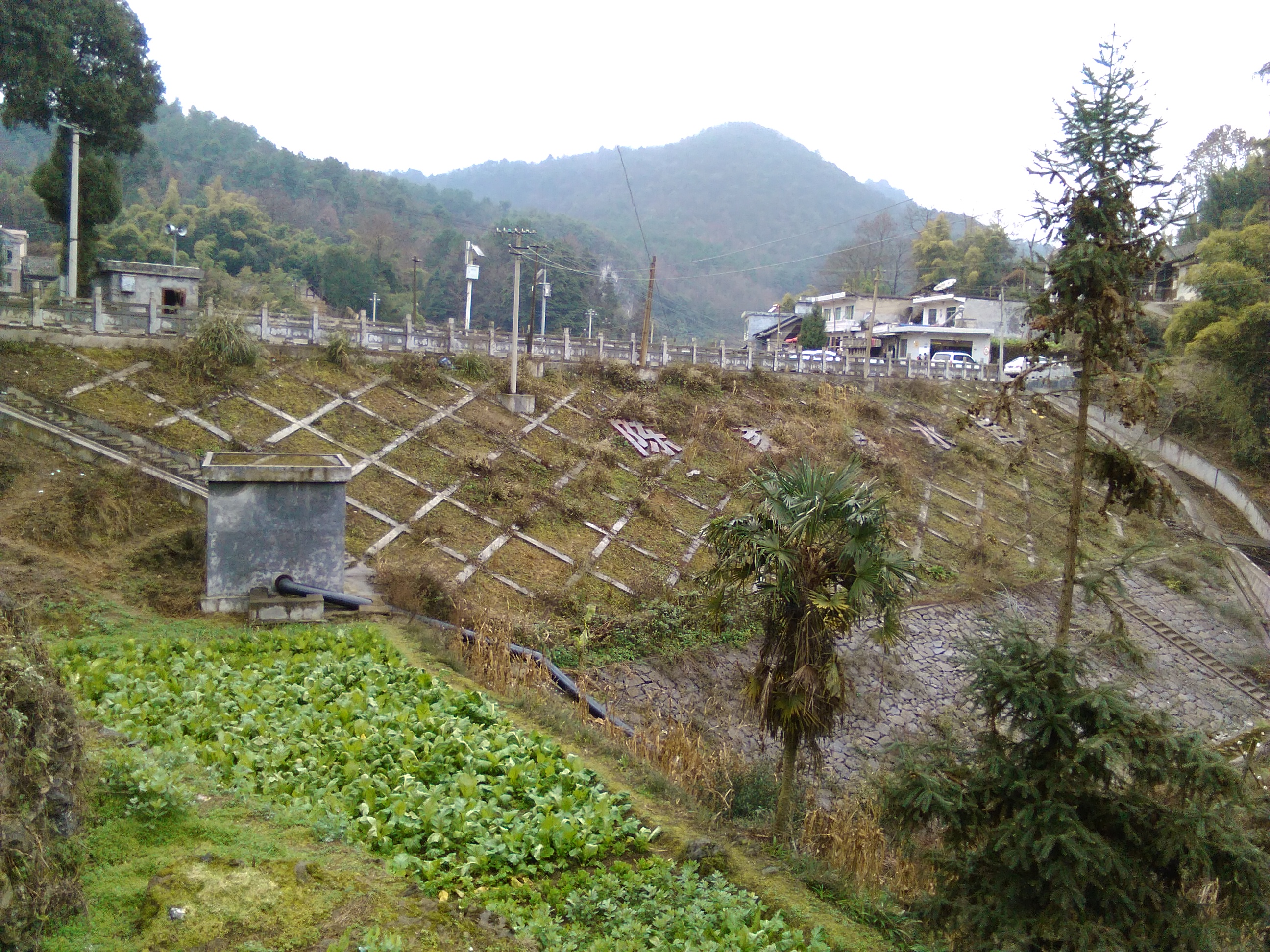 陈家湾水库