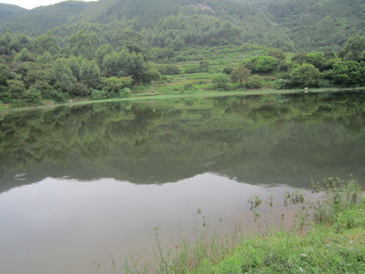 横溪湳田