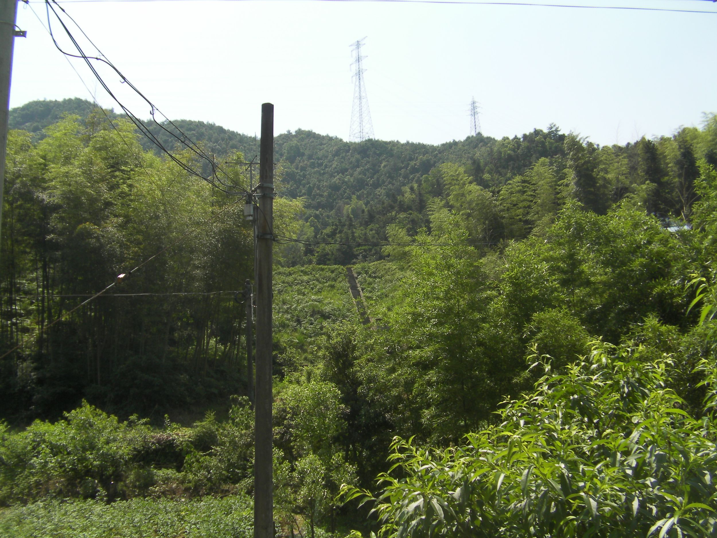 枯焦坞山塘水库