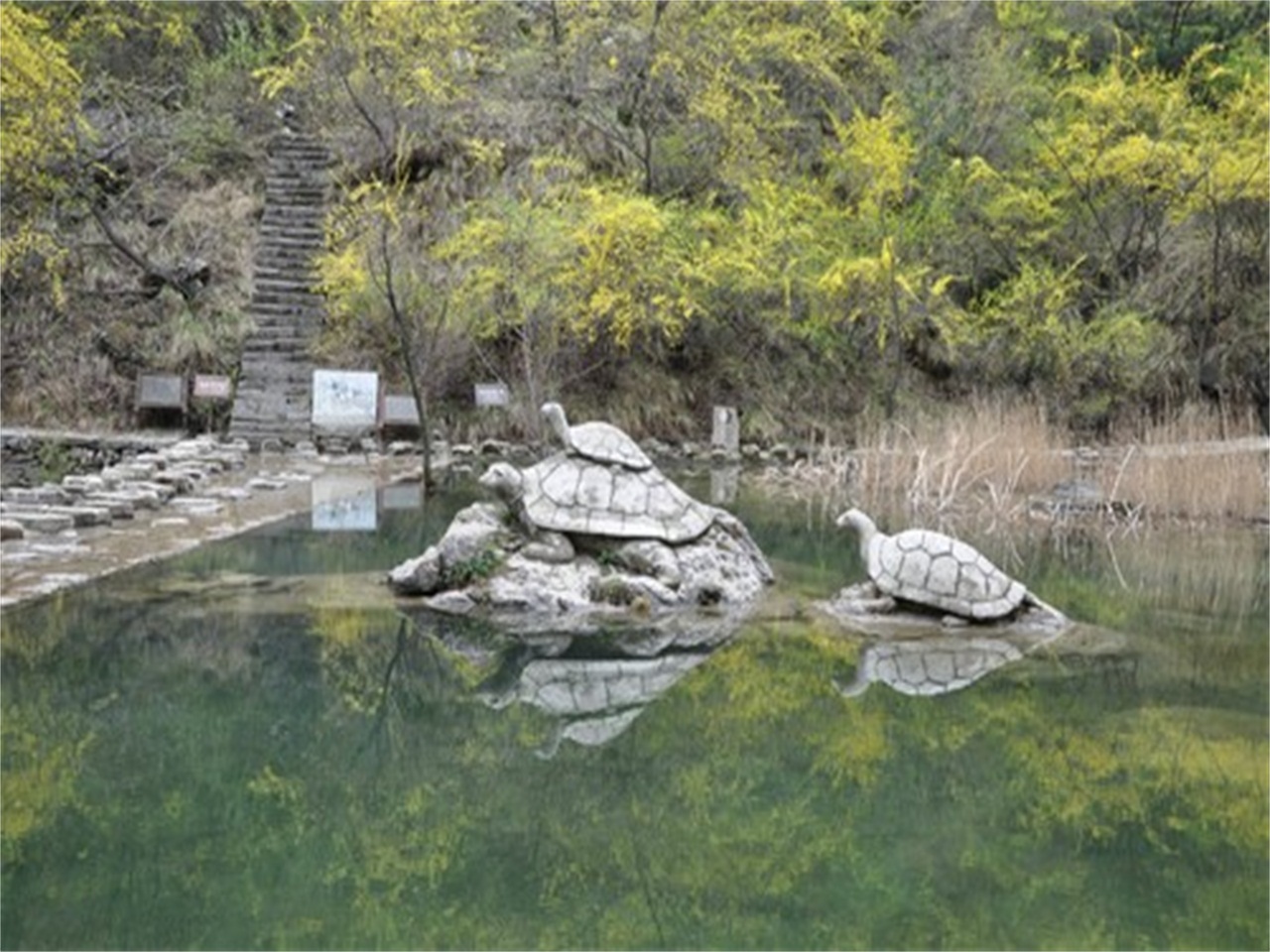 神龟探海风景区