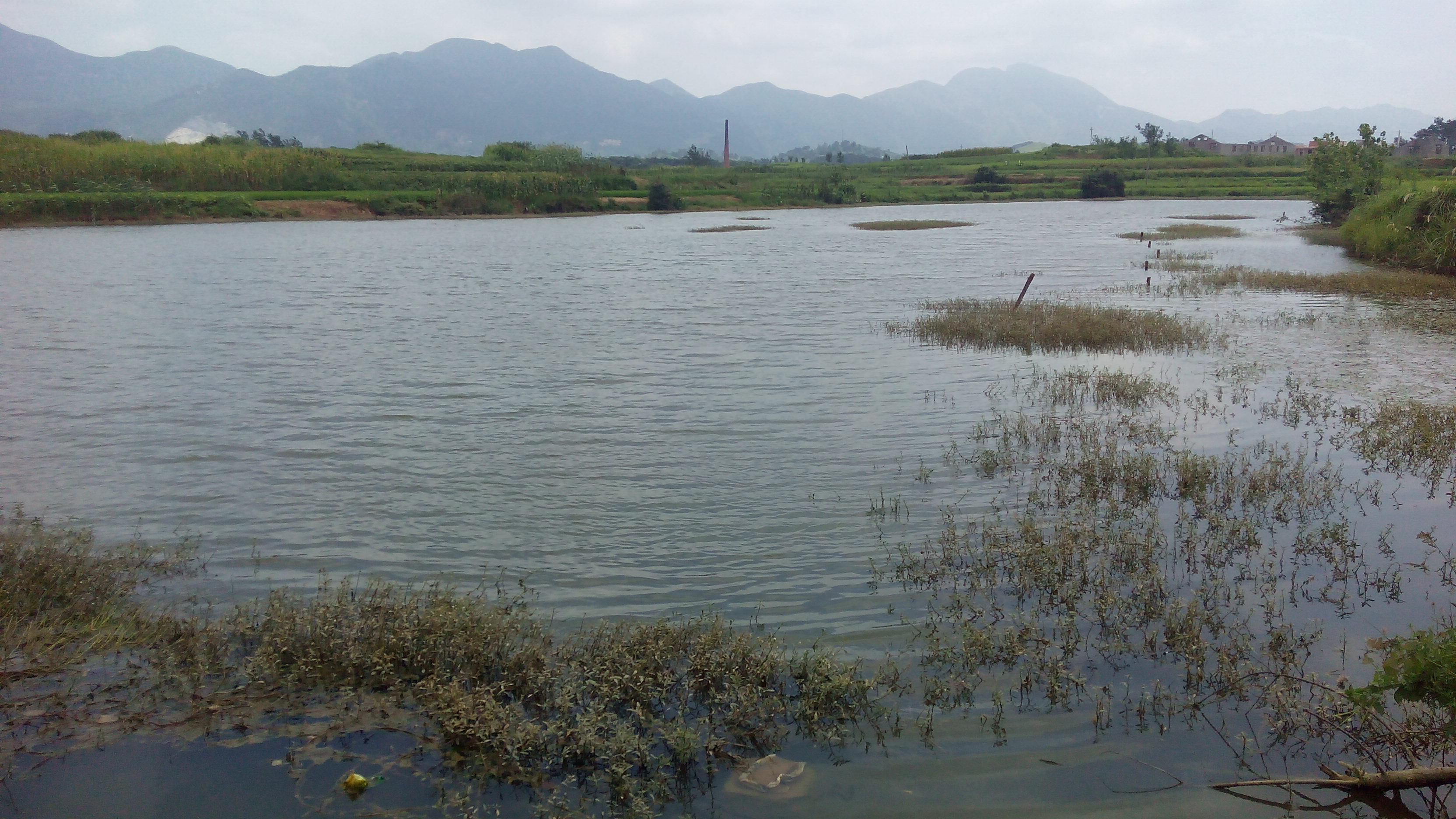 中胜水库