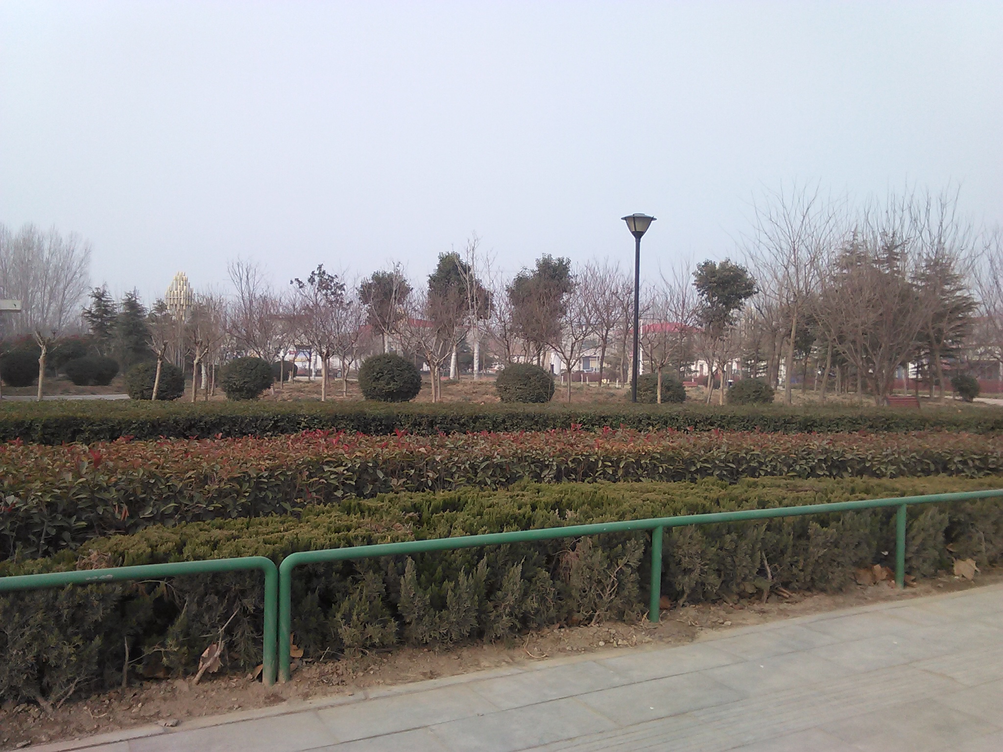 张庄游园