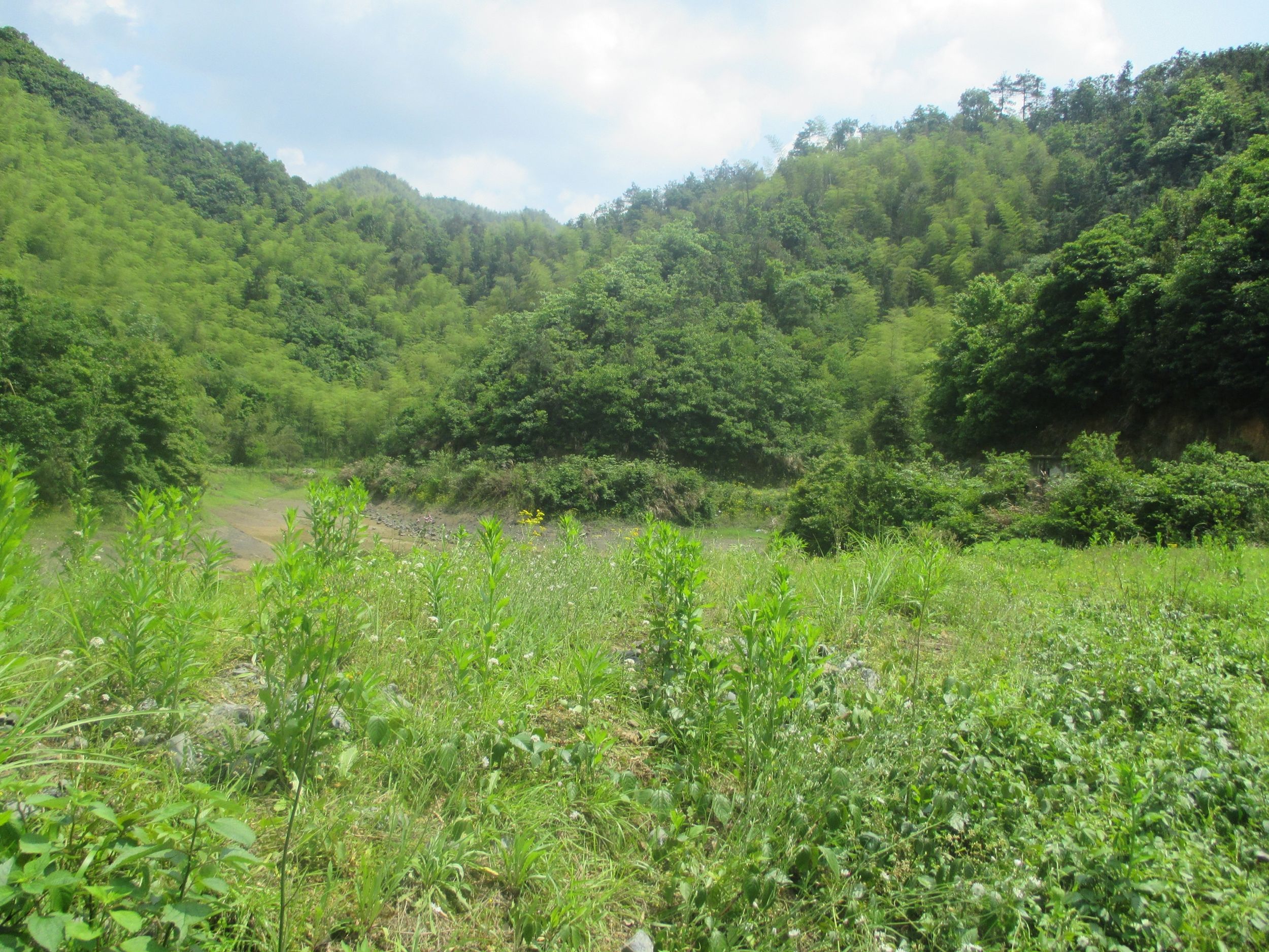 洞桥烂田坞水库