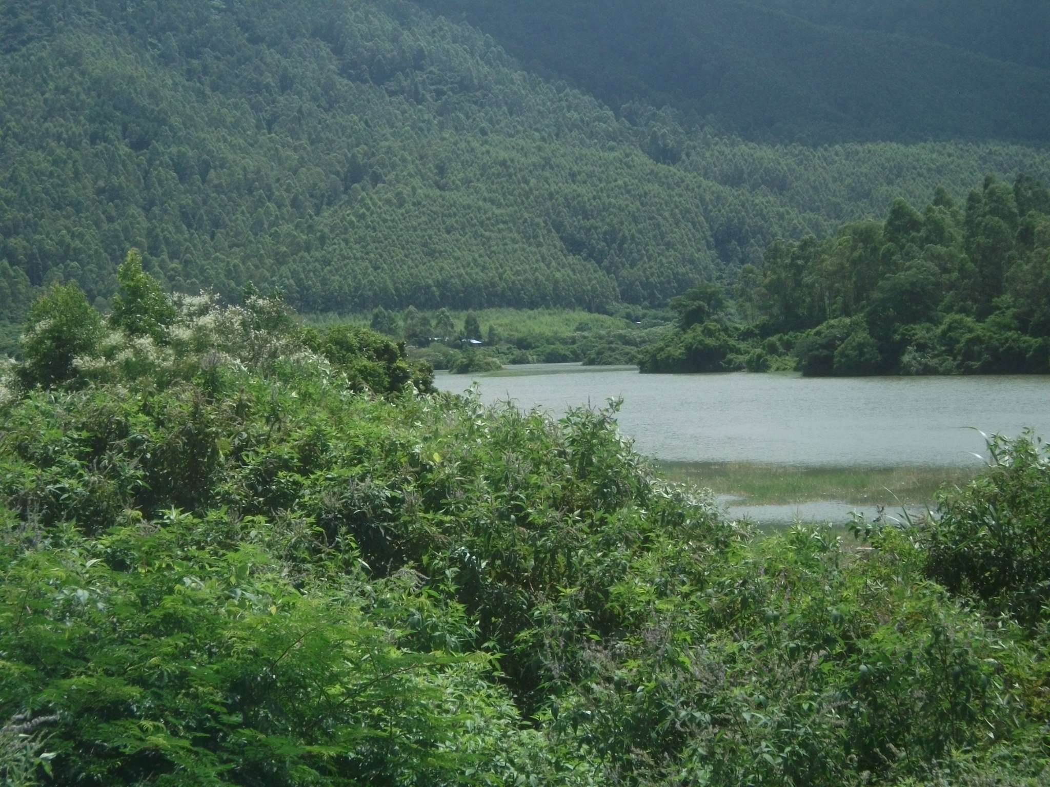 大肚洞水库