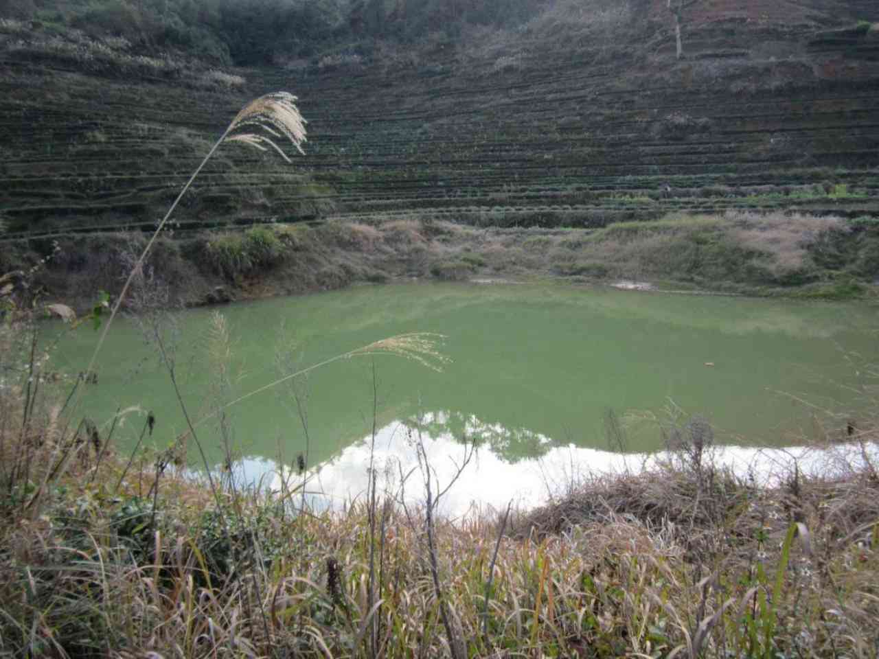 张婆水库