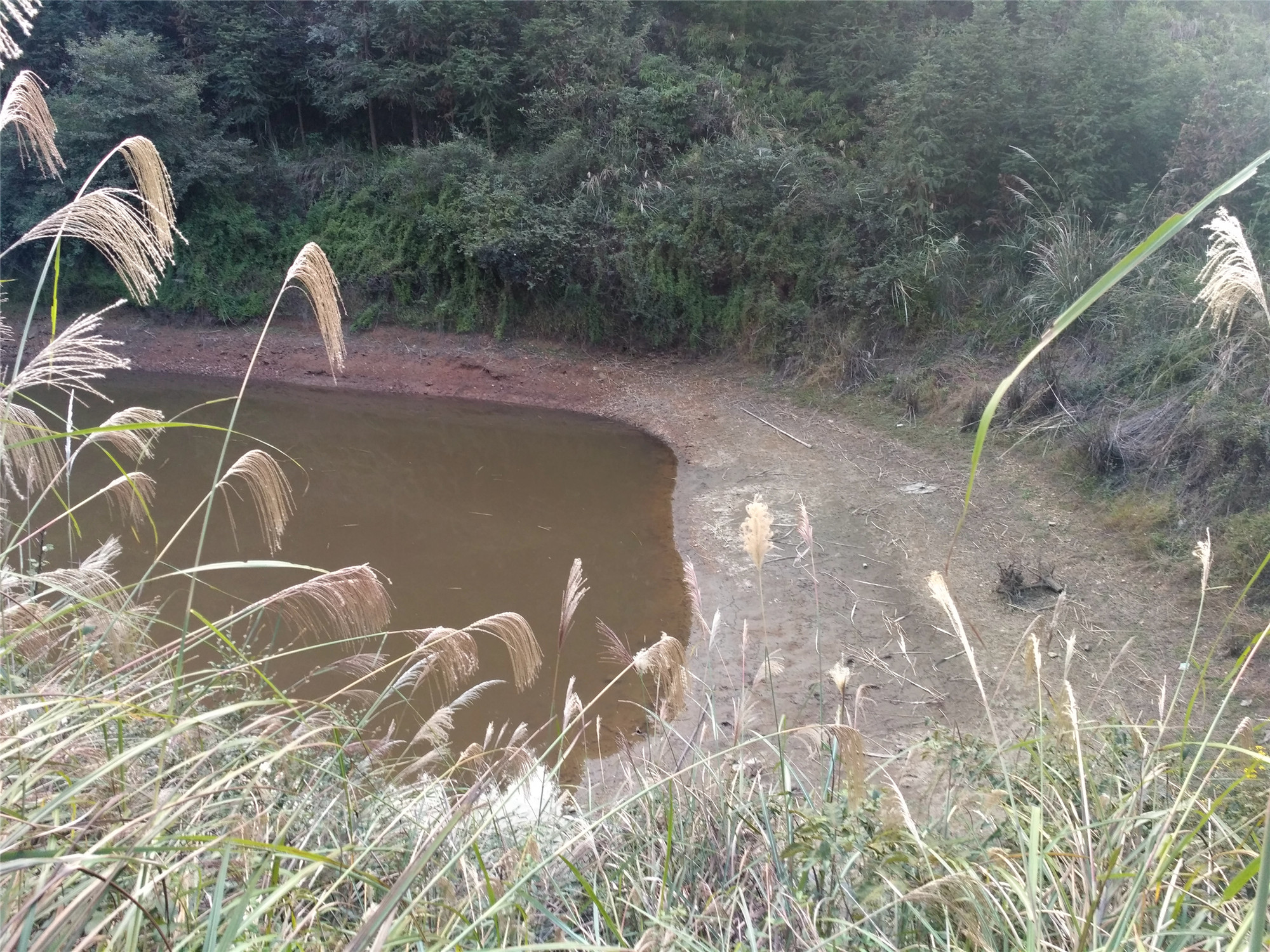 野猫冲水库