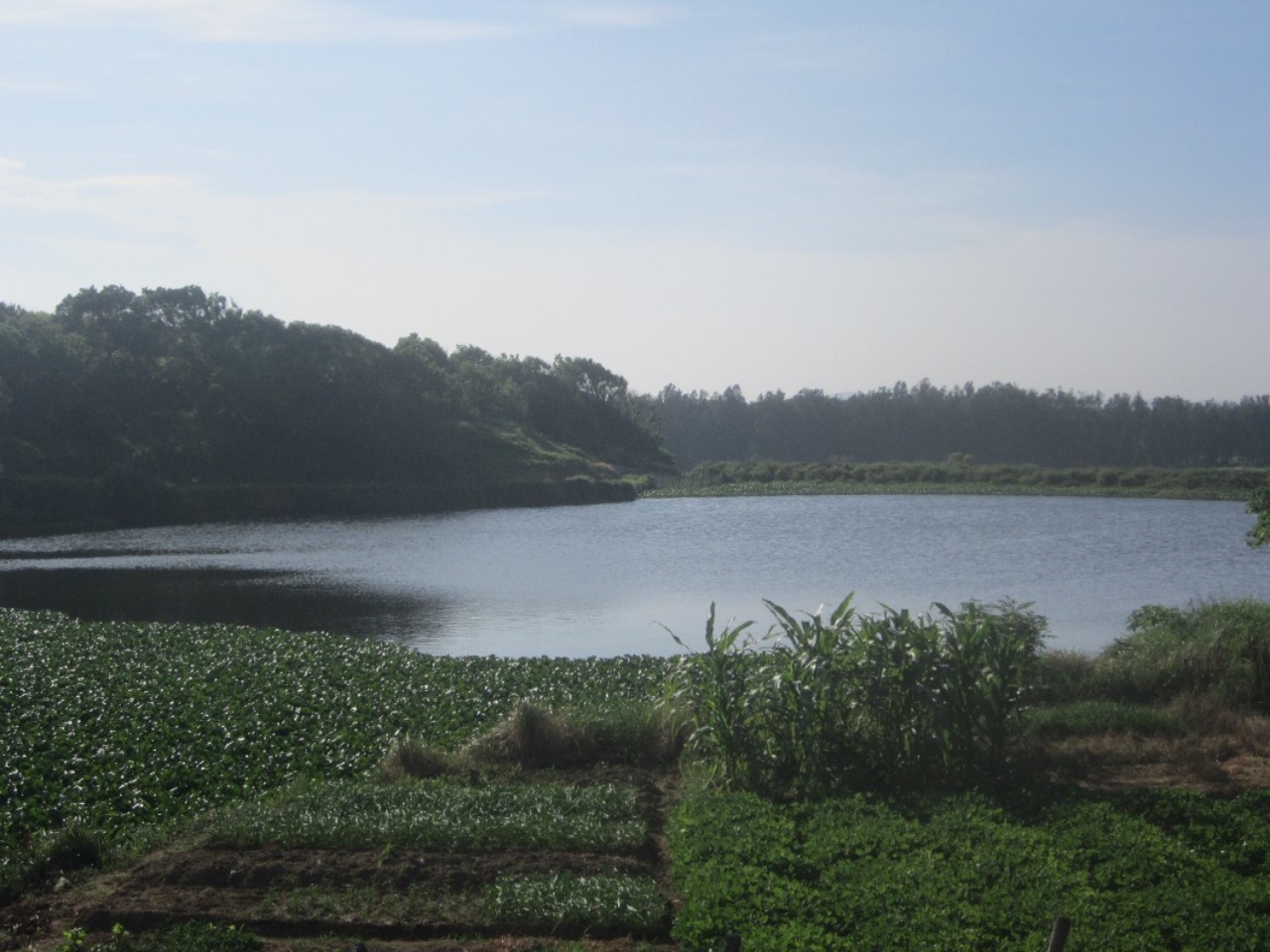 一埠水库