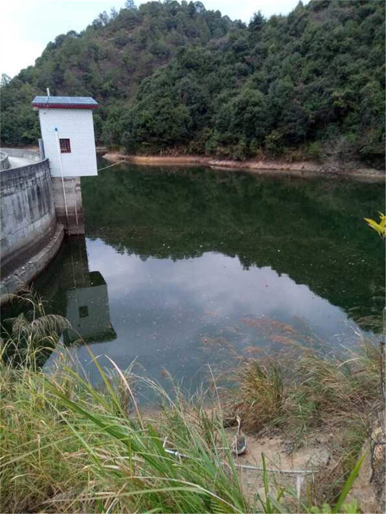 蕉头角水库