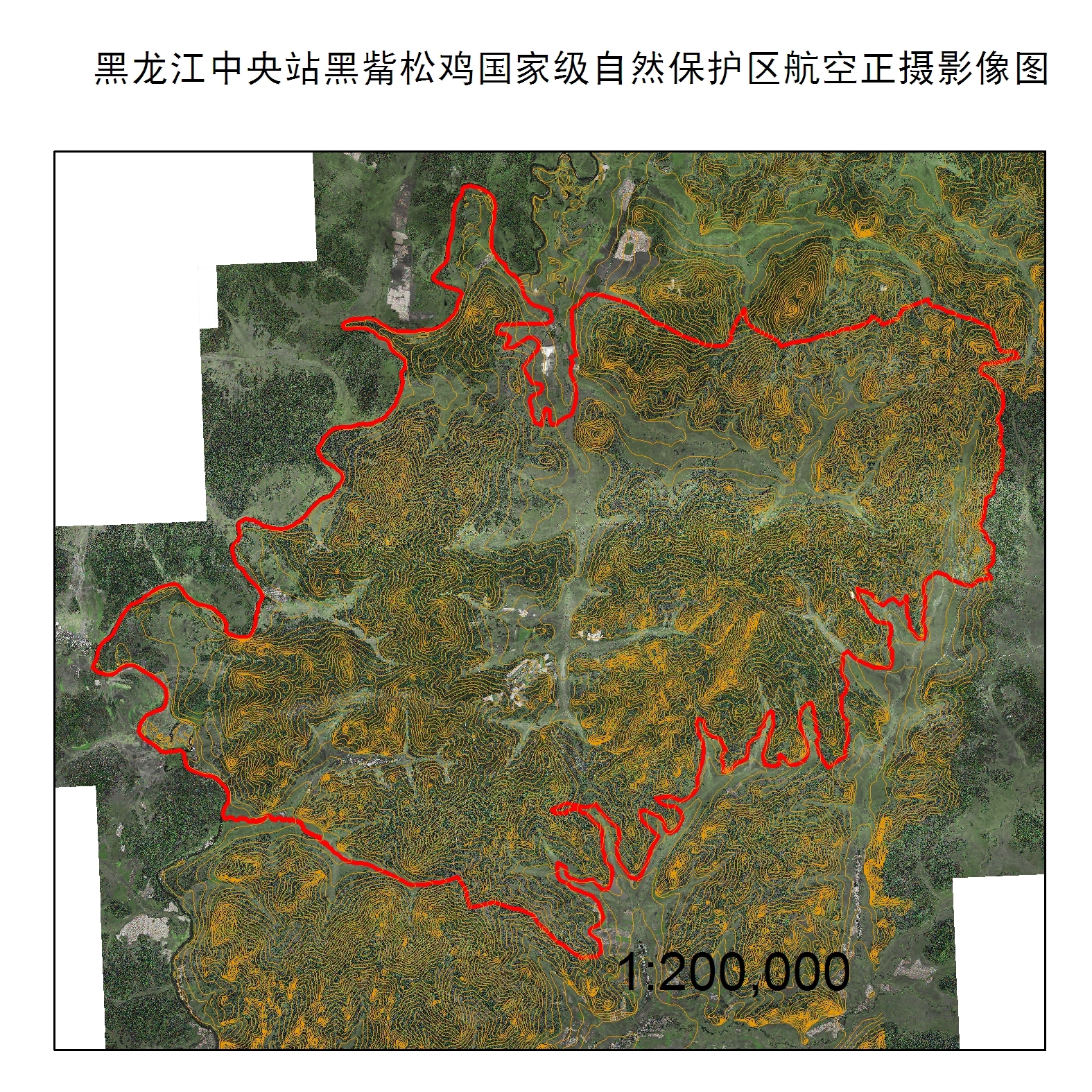 黑龙江中央站黑嘴松鸡国家级自然保护区