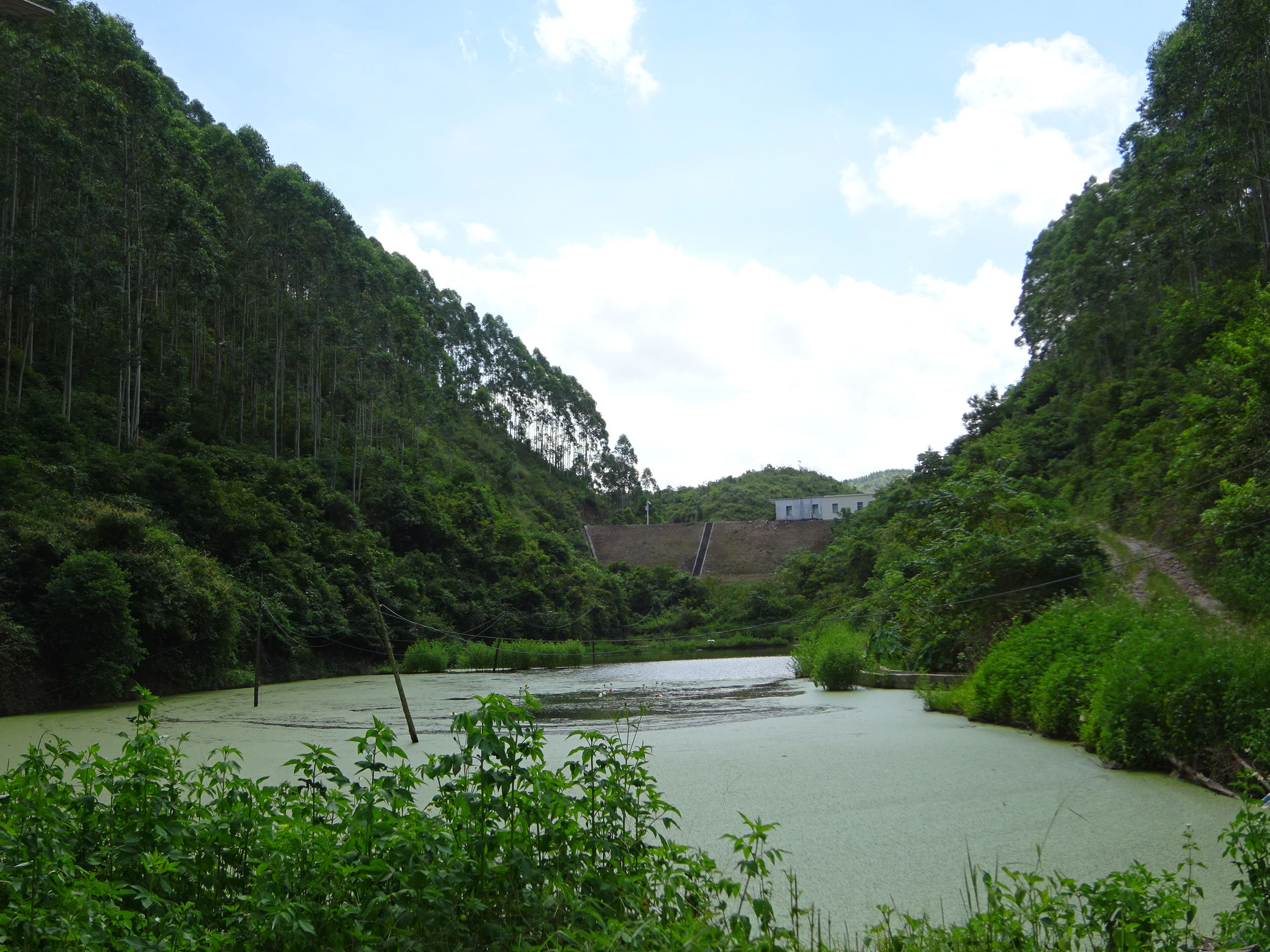 狮象水库