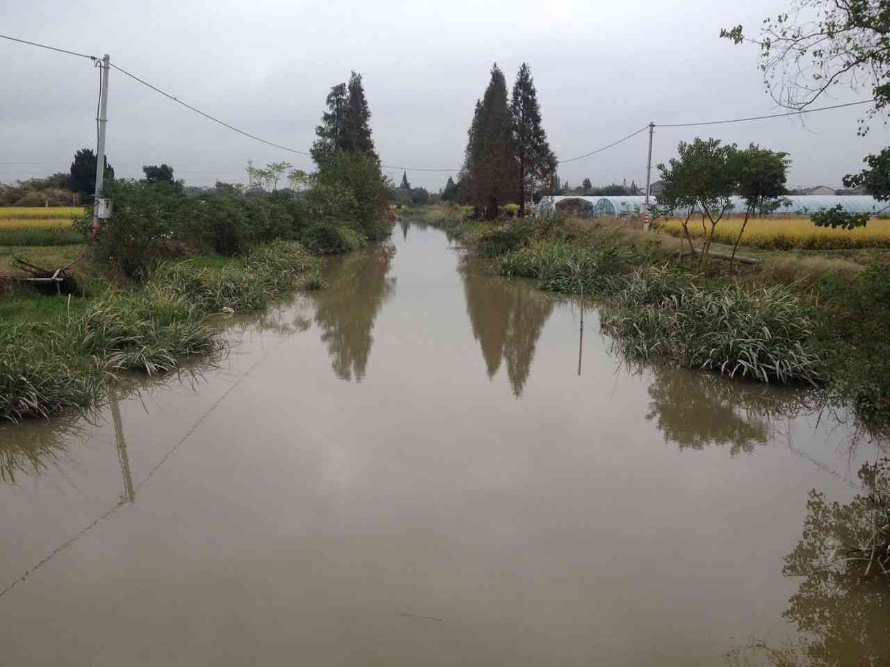 大欧碶新河