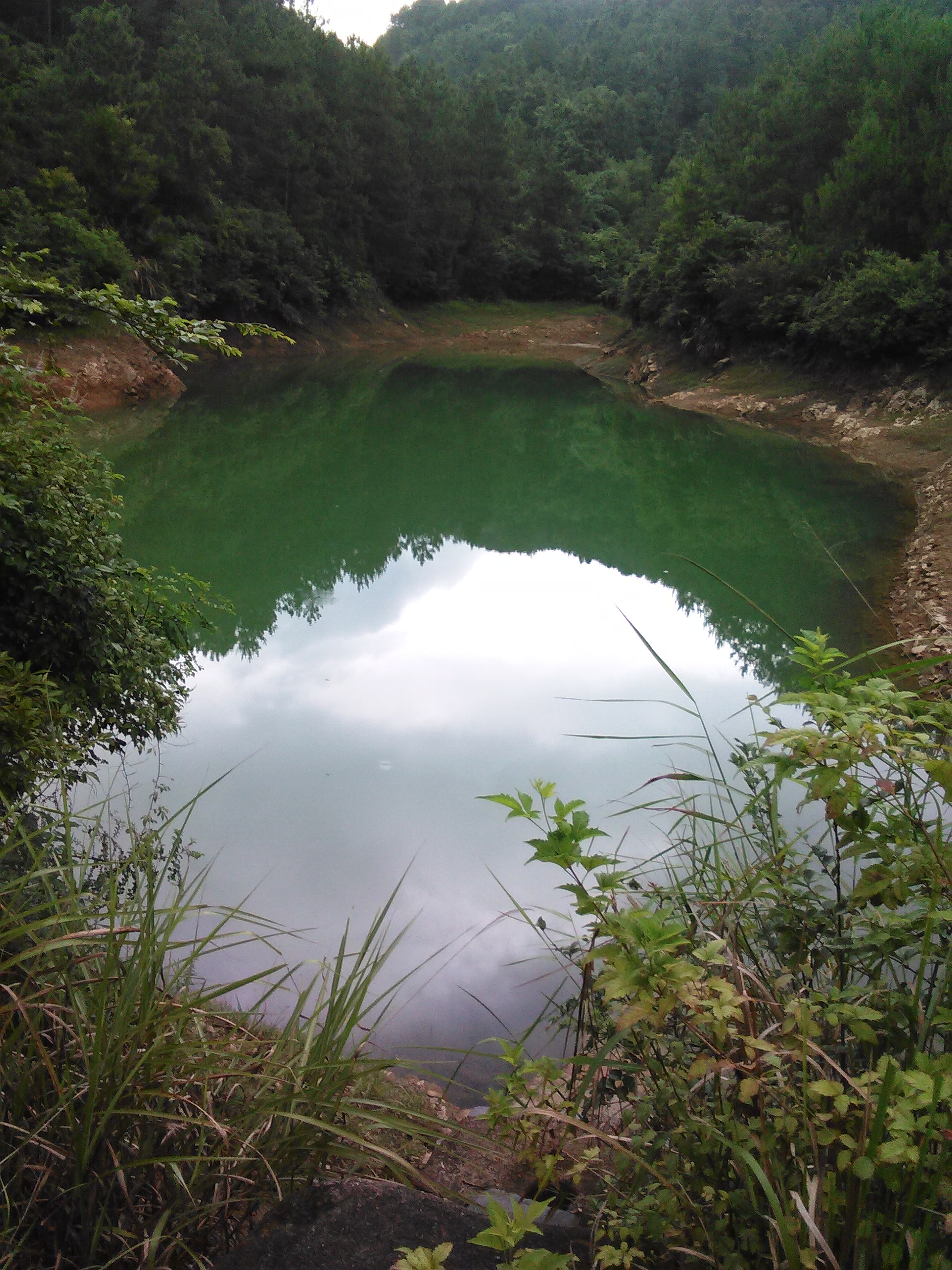 栗树坪下寨水库