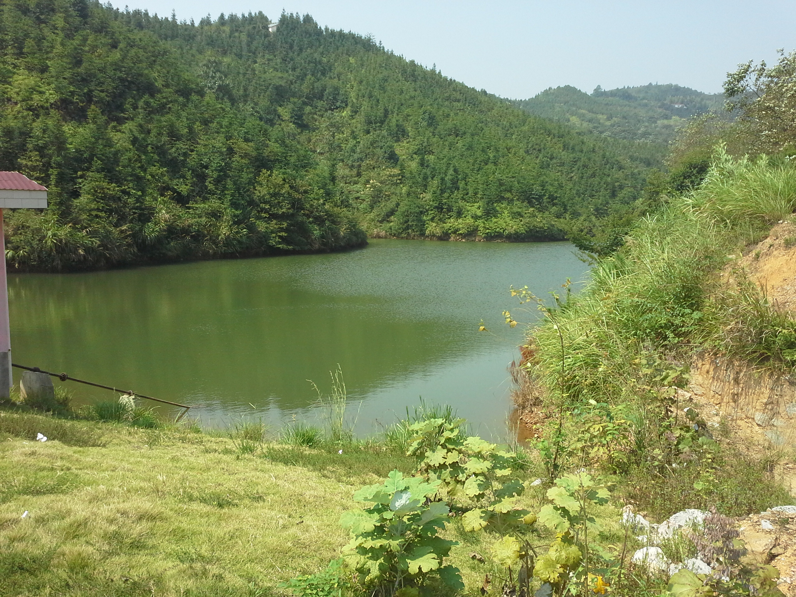 鸭婆冲水库