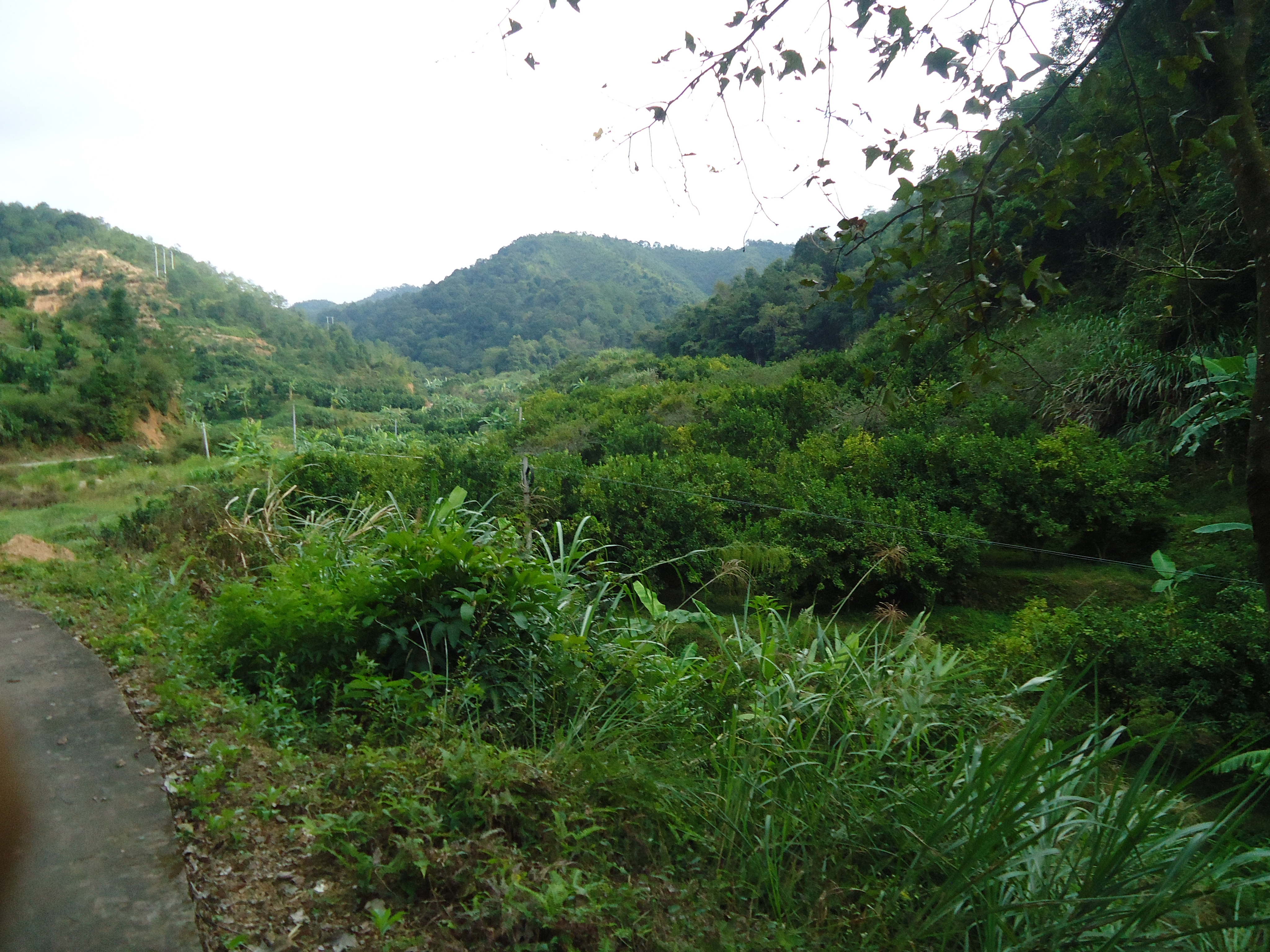 大仁岽自然保护区