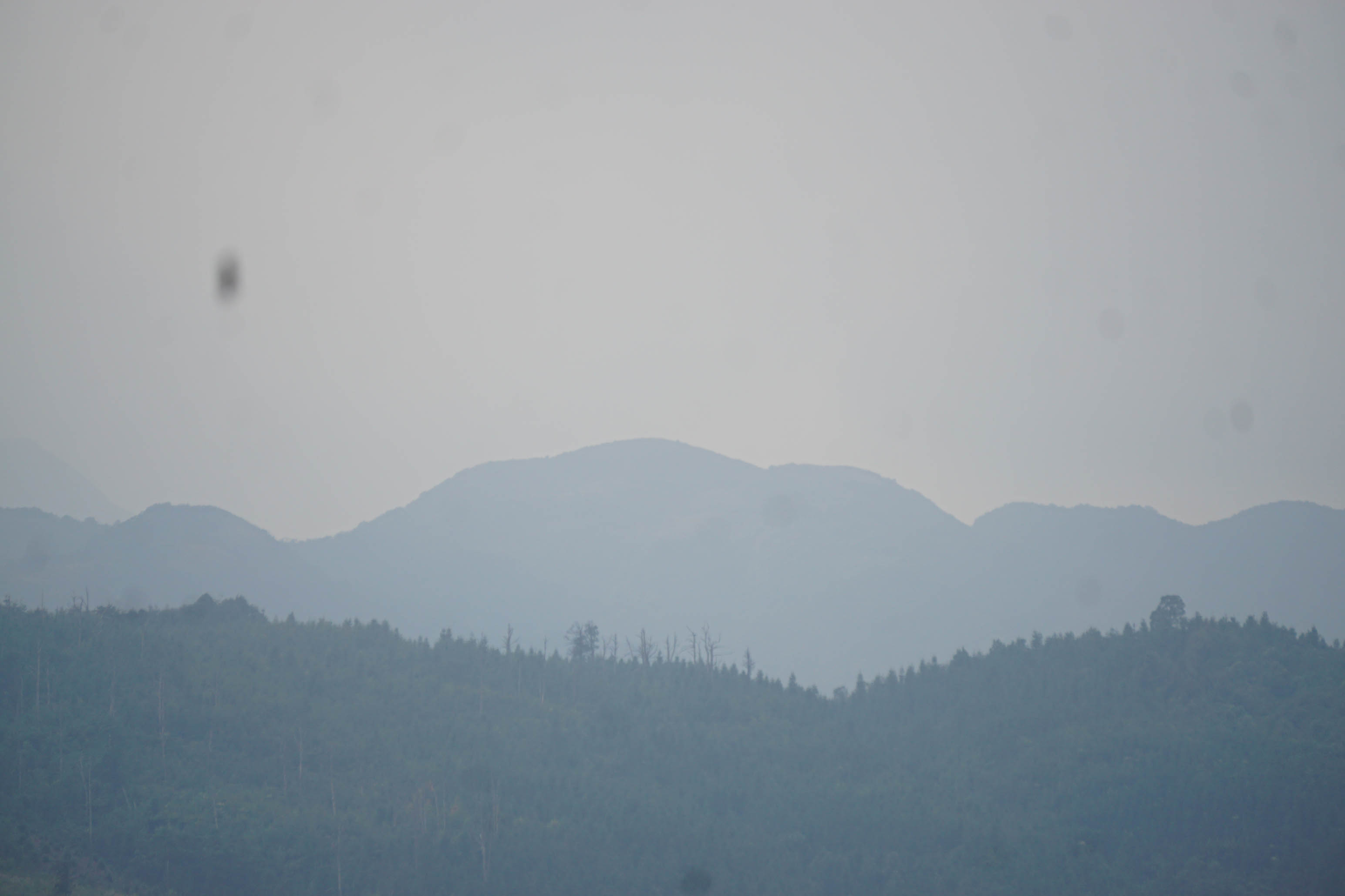 广西银殿山自治区级自然保护区