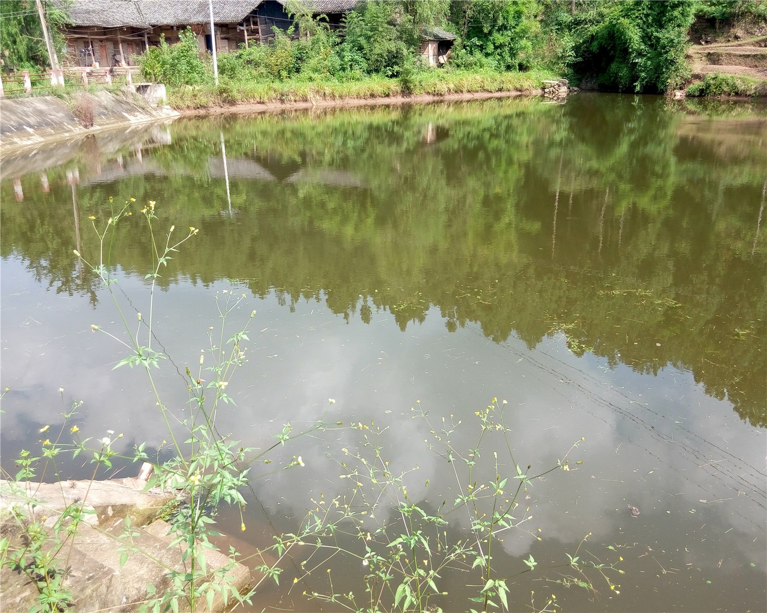 纸厂河水库