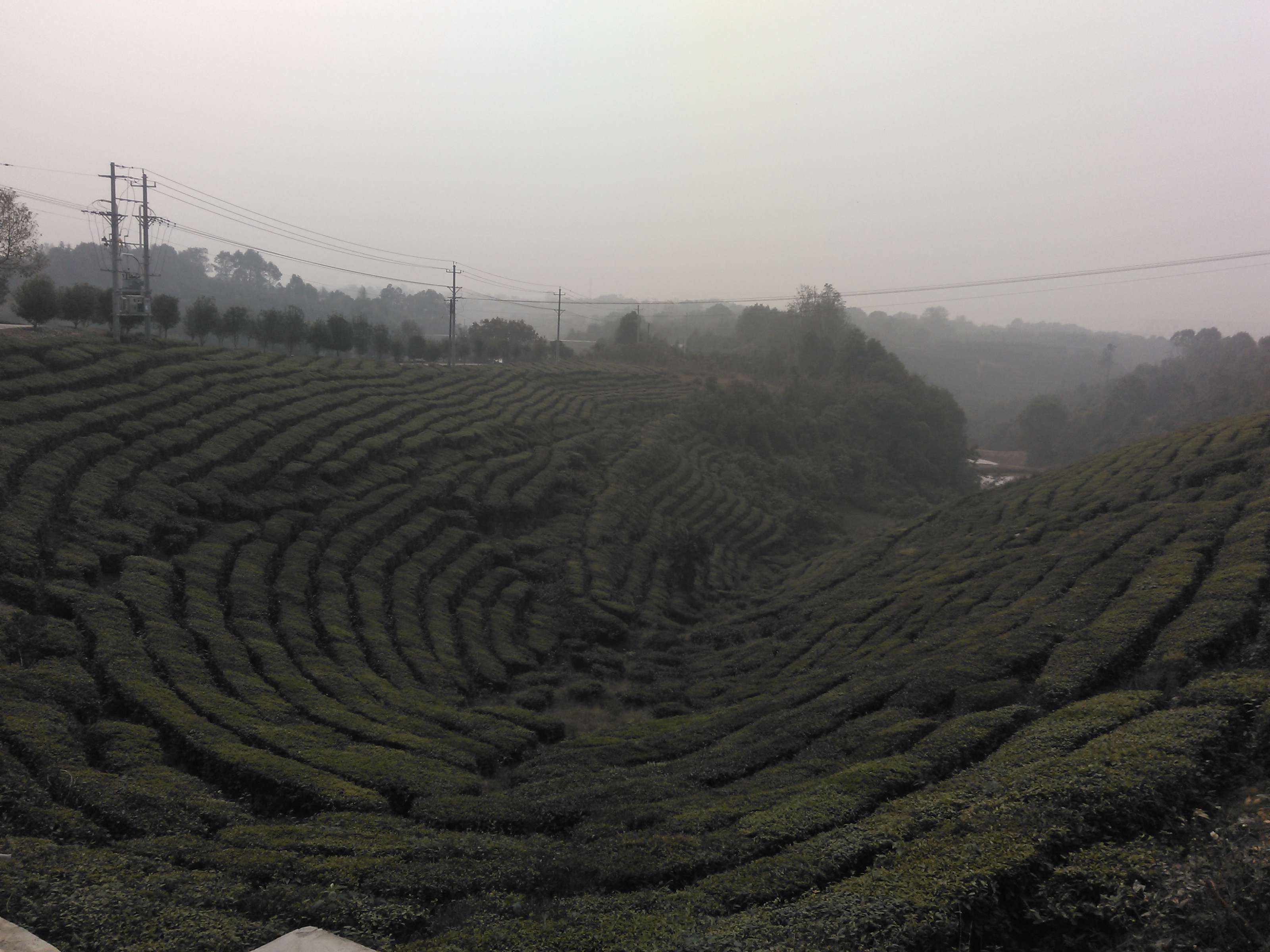 青龙山风景区