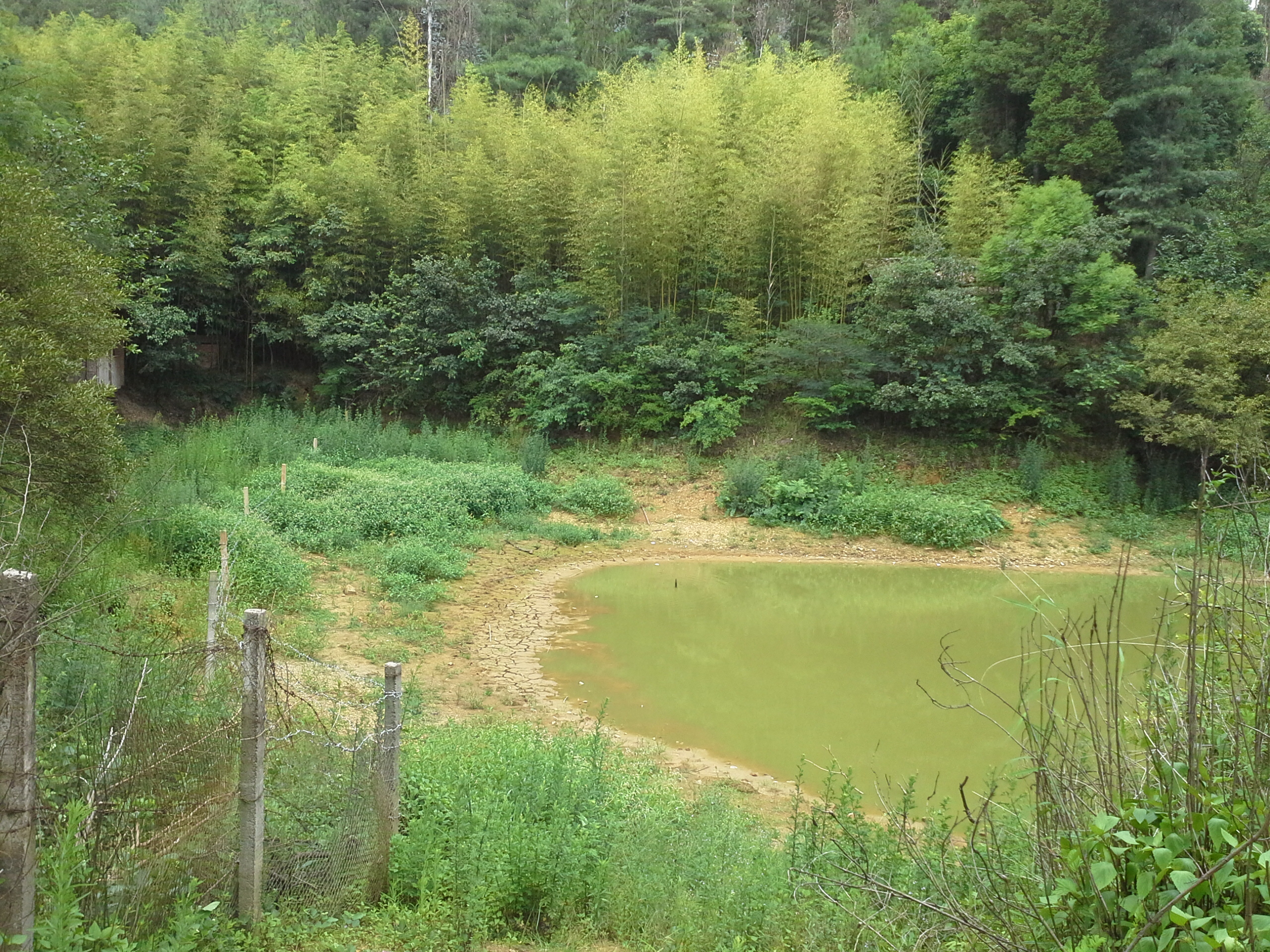 土老冲水库