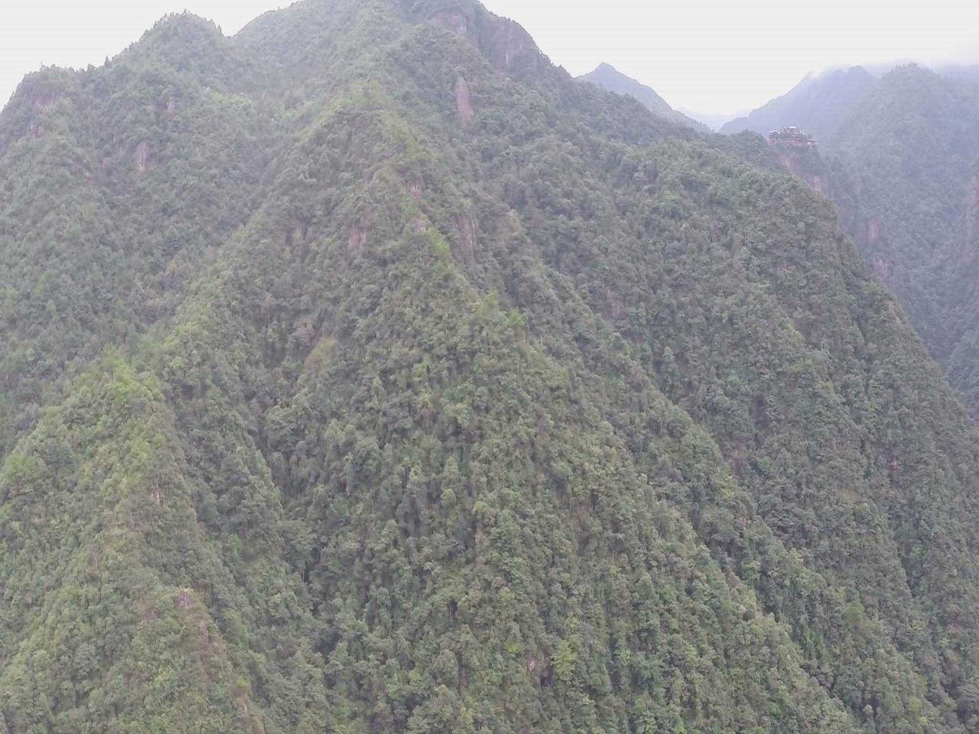 牛头山自然保护区