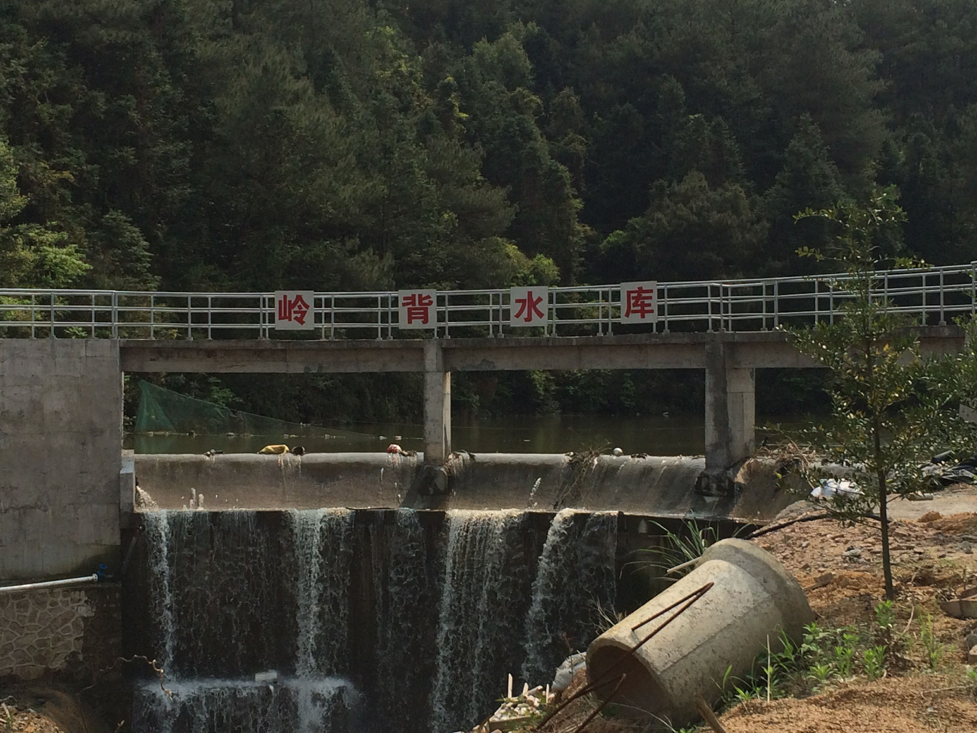 岭背水库