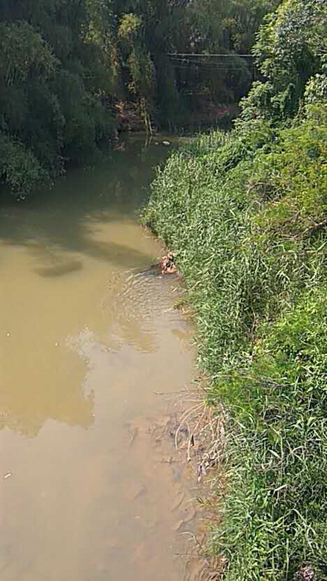 侧面虎水库