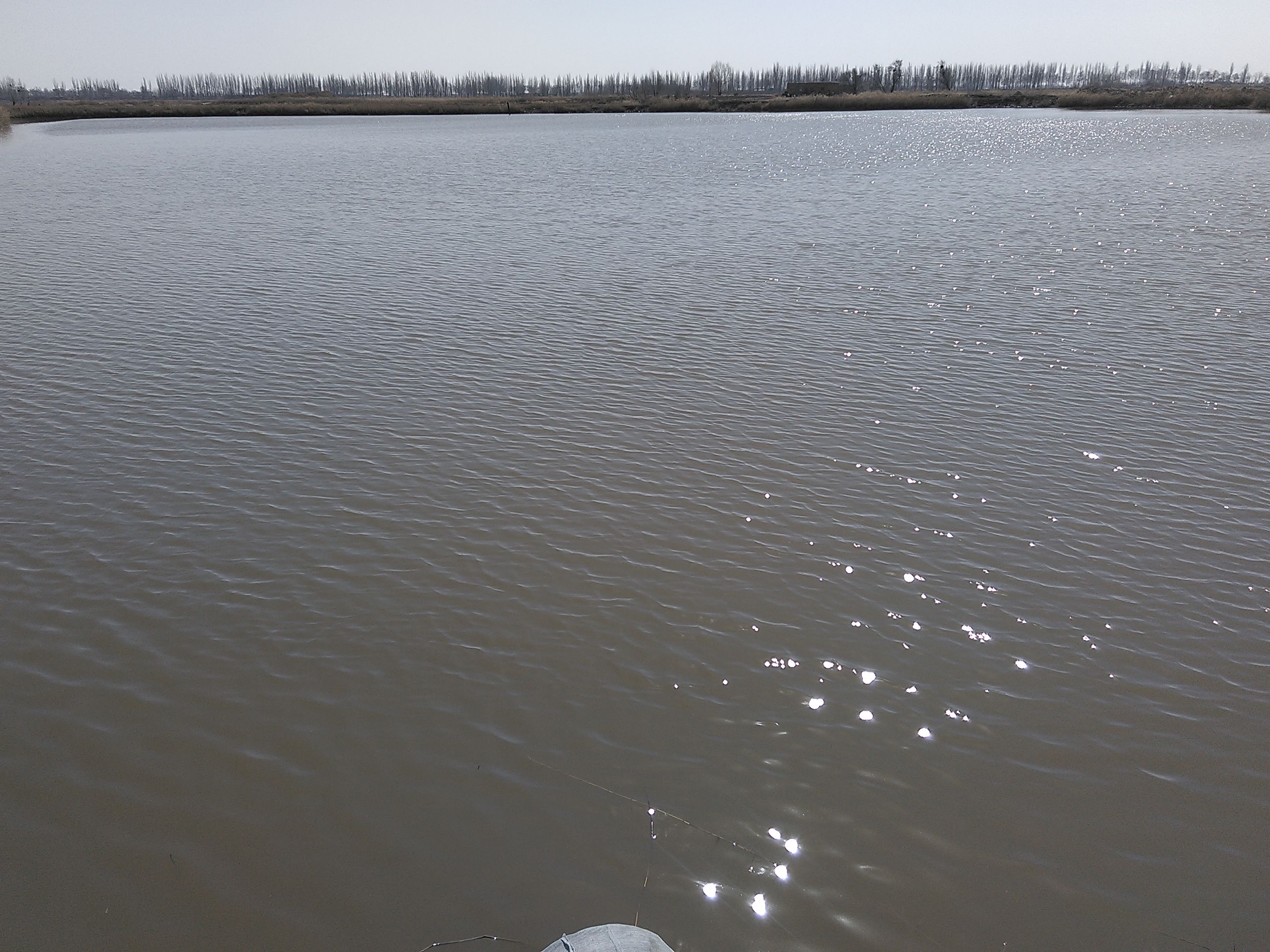 暖泉金泉湖湿地保护区