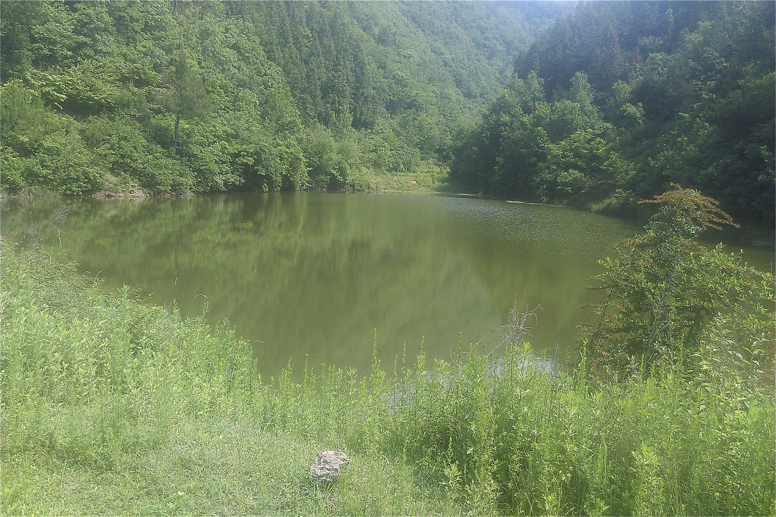 熊家沟水库