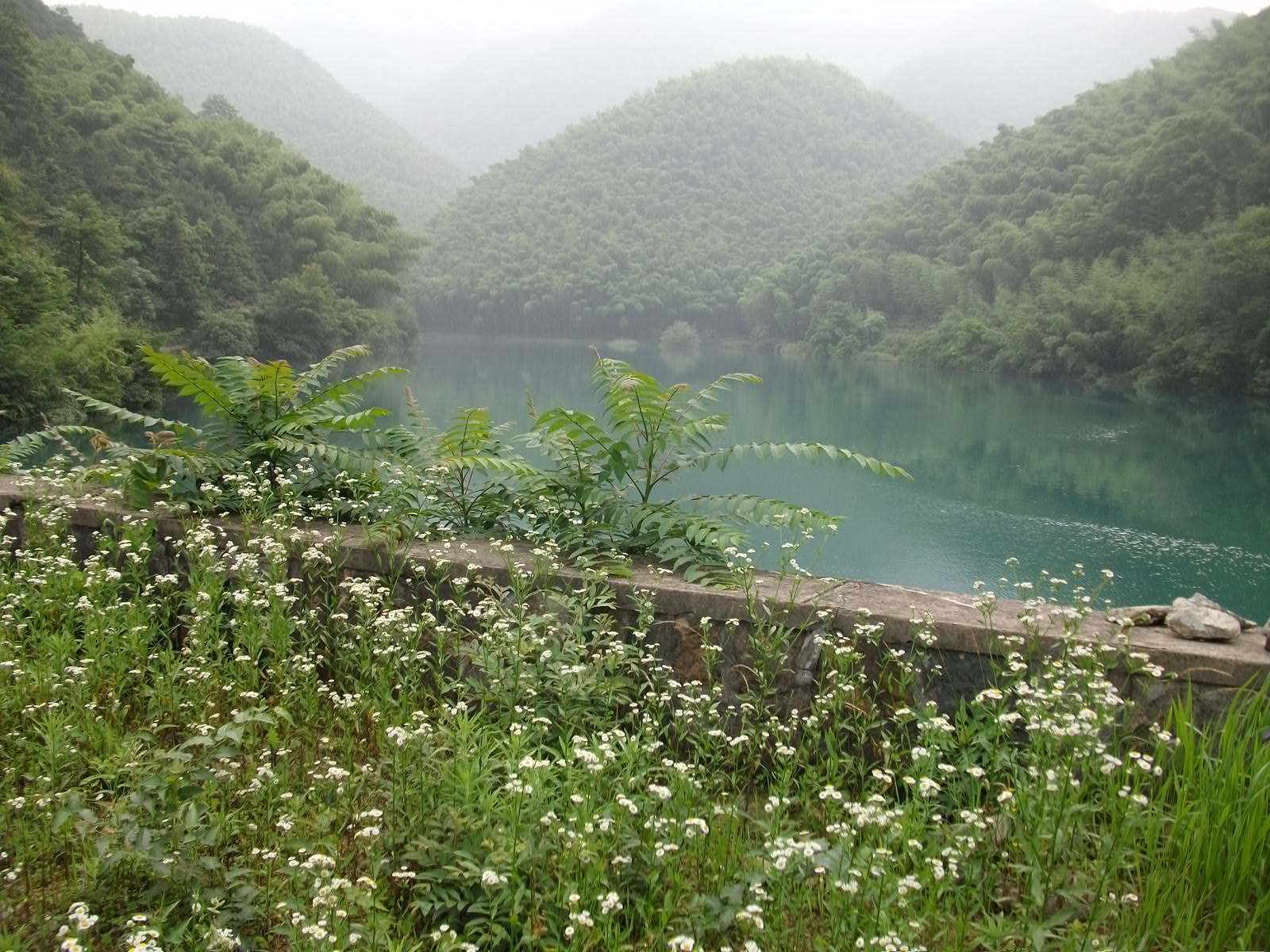 猪石岙水库