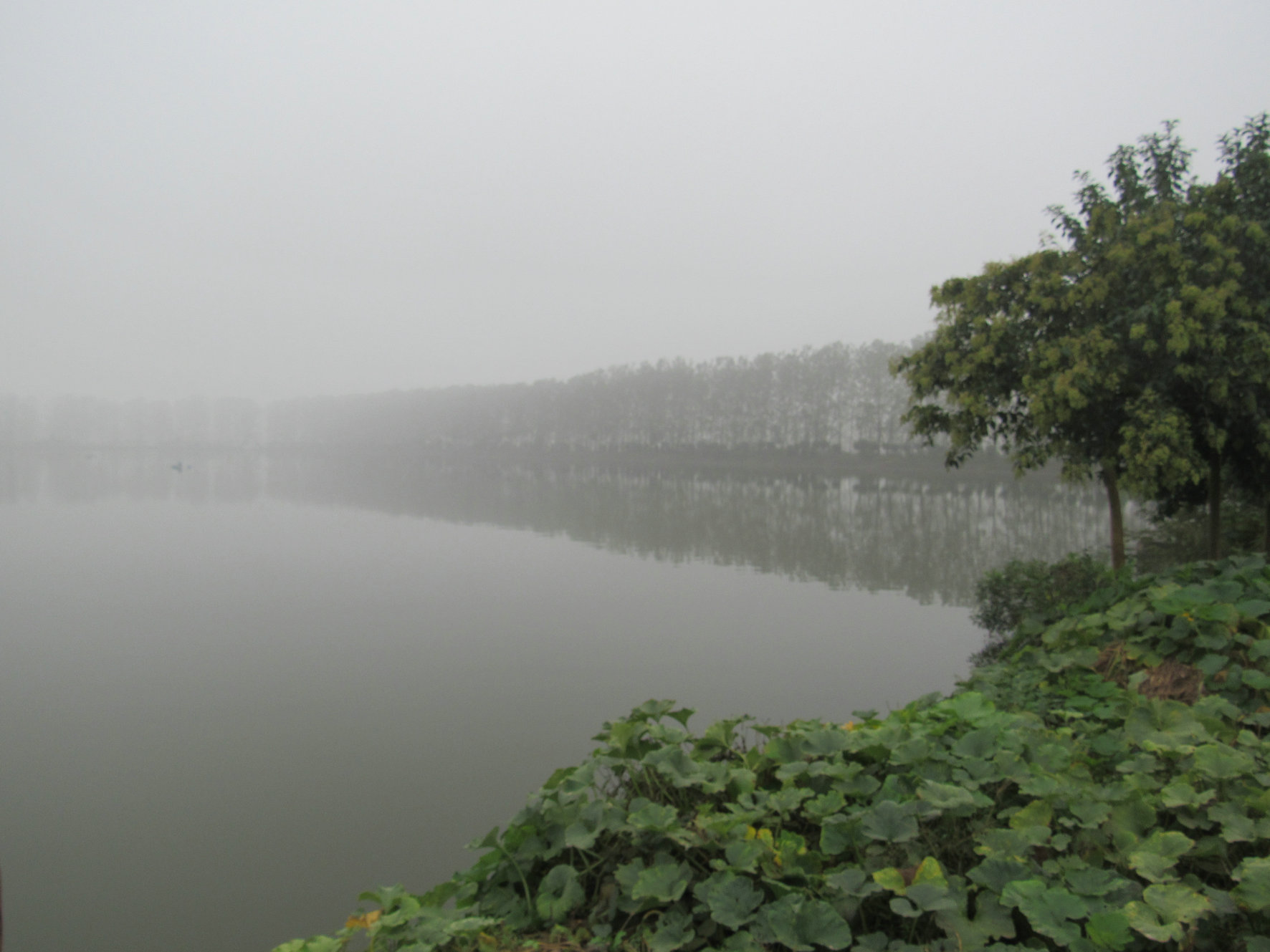 黄楼水库