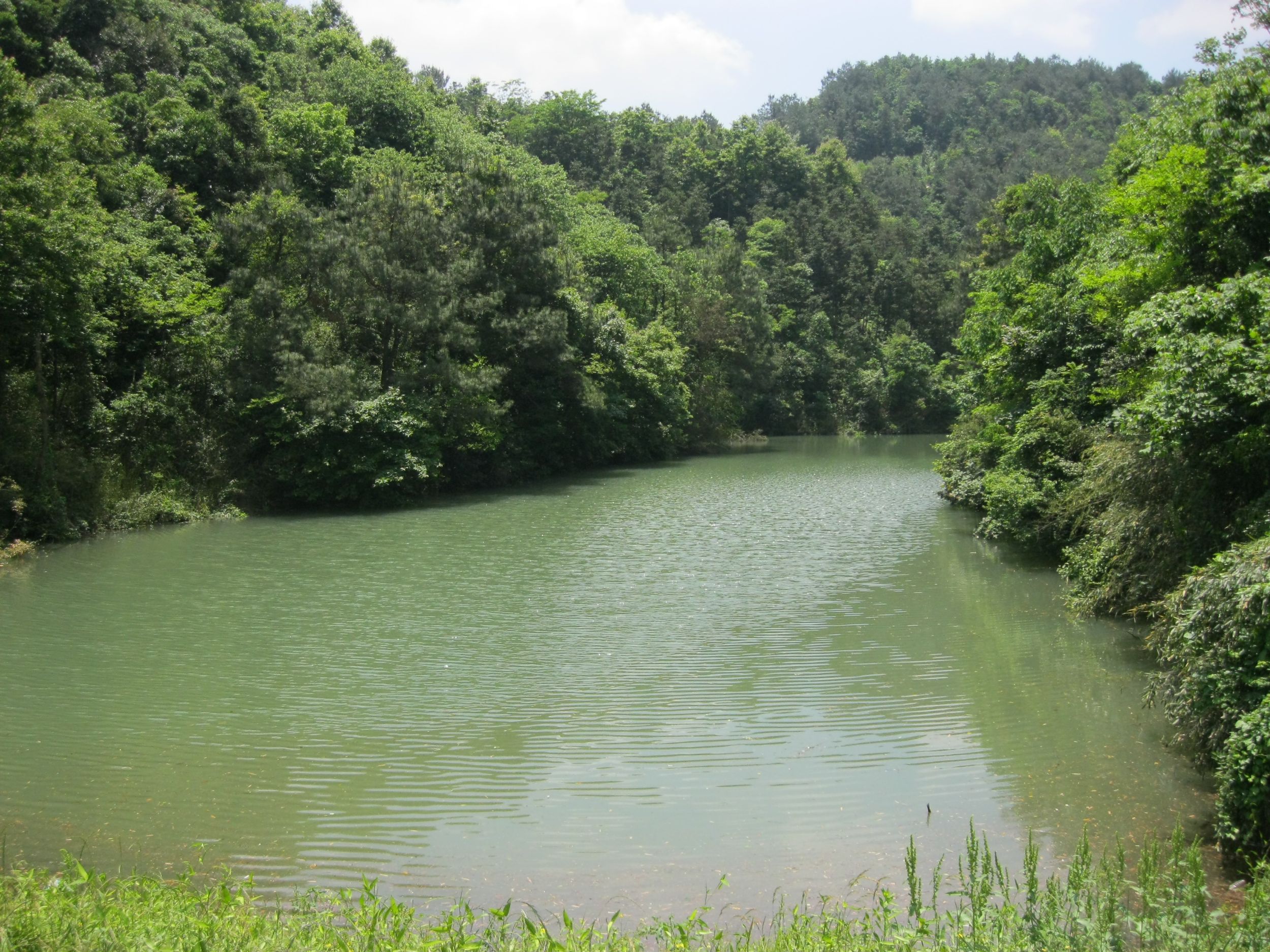 小里西坞山塘水库