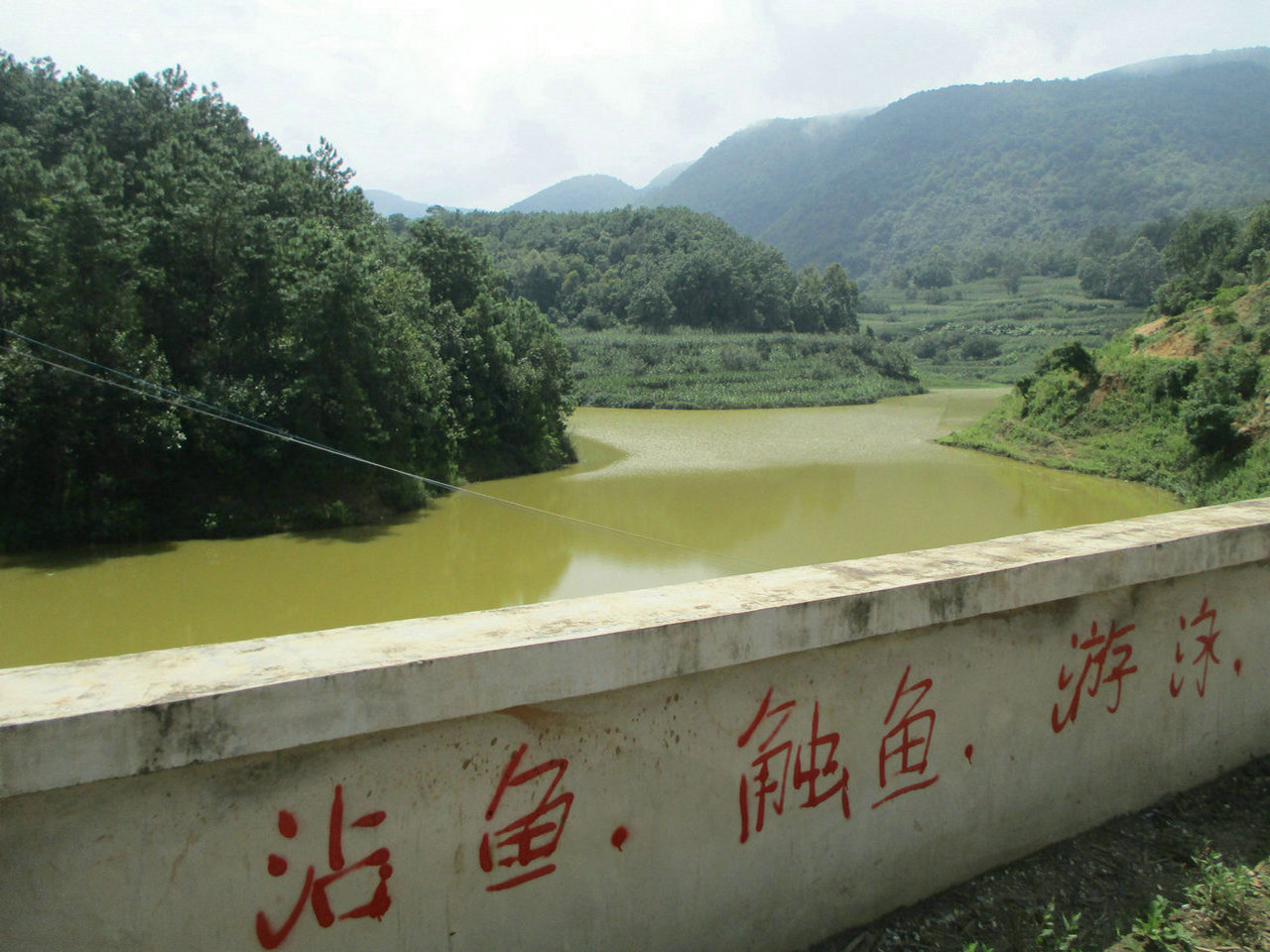 鱼塘水库