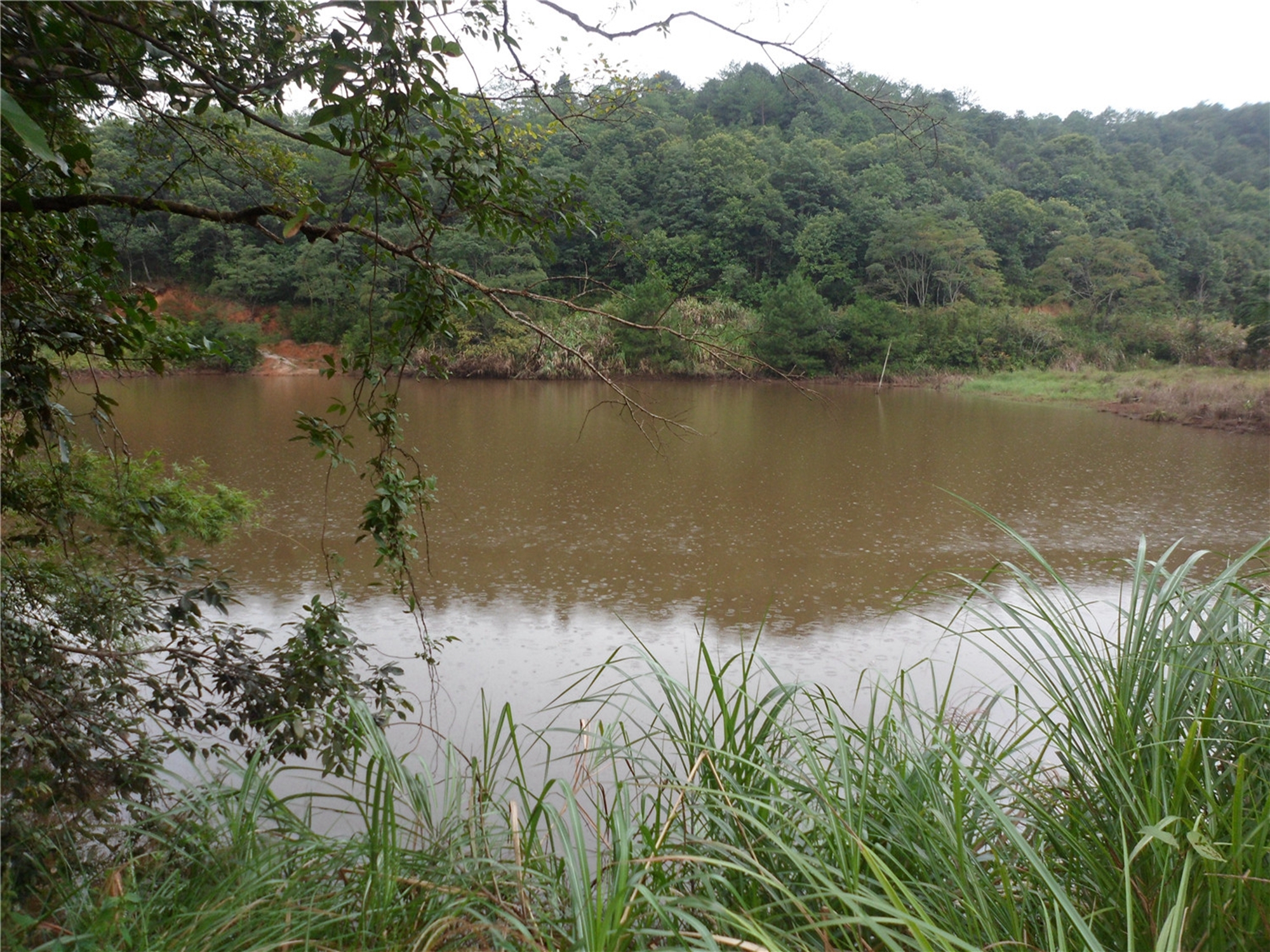 高山水库