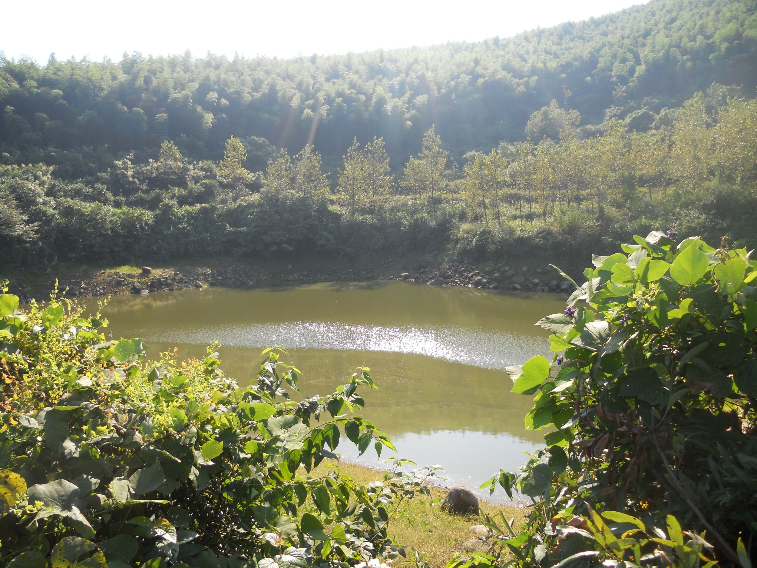 羊坞殿水库