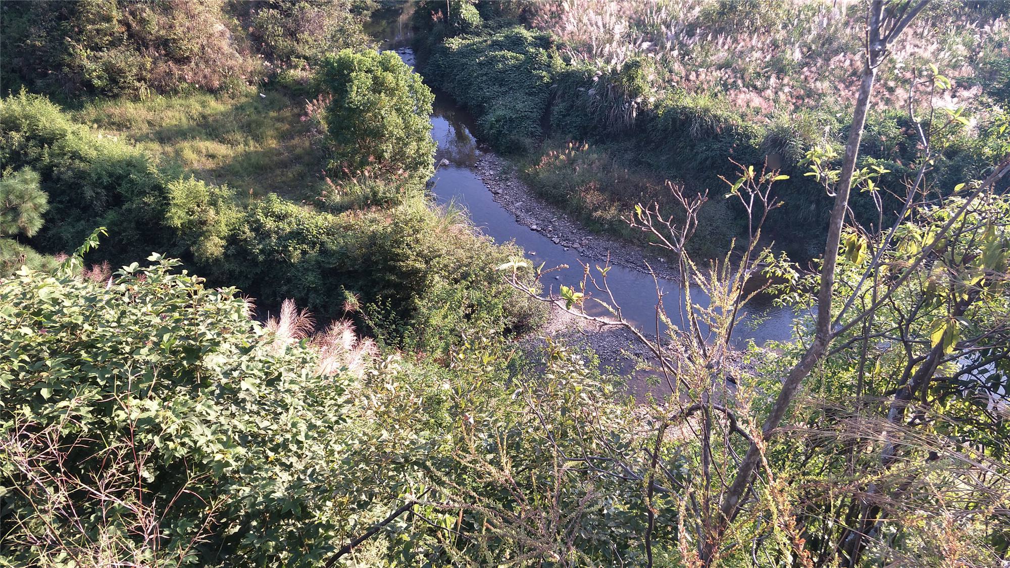 瓜冲河口